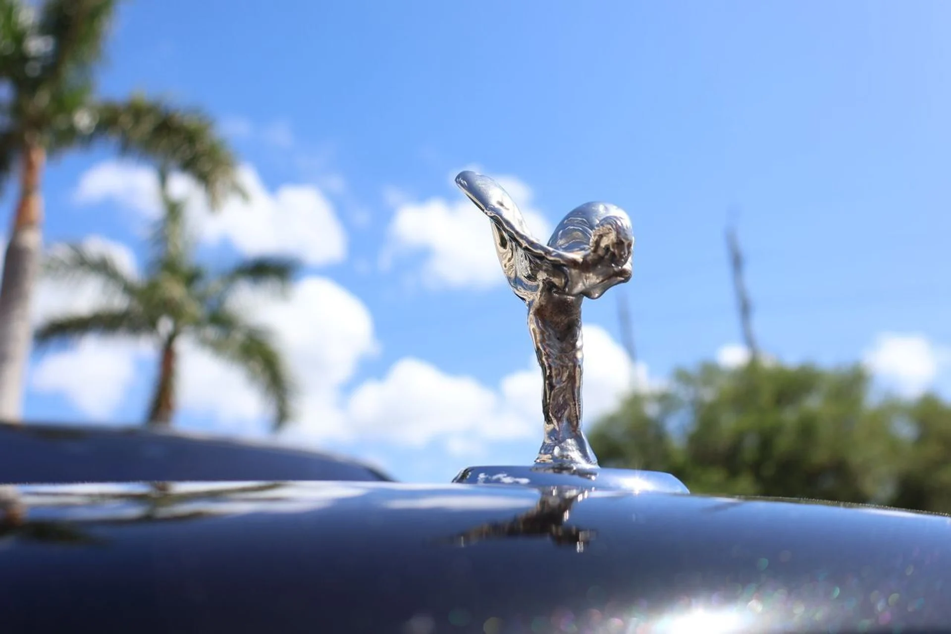 mph005_3101859702_6_eb85b2aaee