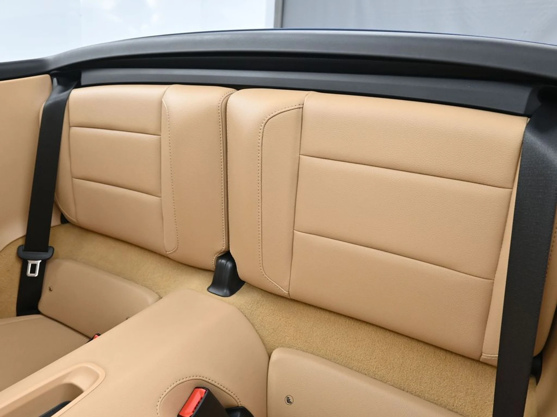 mph005_3107680181_8472e8070e16faf72be0ccc943860ccax_8bb4ee9f83