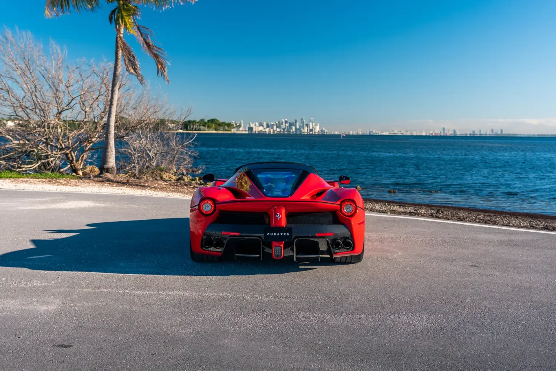 mph005_3149771995_697397327e41977ffee80def_gallery_image_5_1769183022937_04ff53e8f9