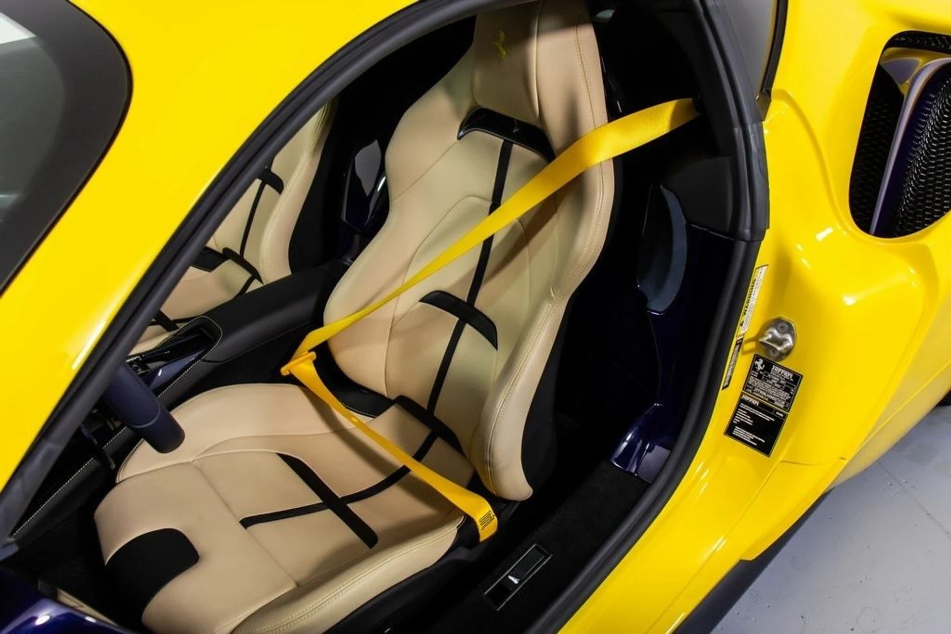 mph005_3167353031_699896c0846cae5189ff292e7ca1311ax_501c720490