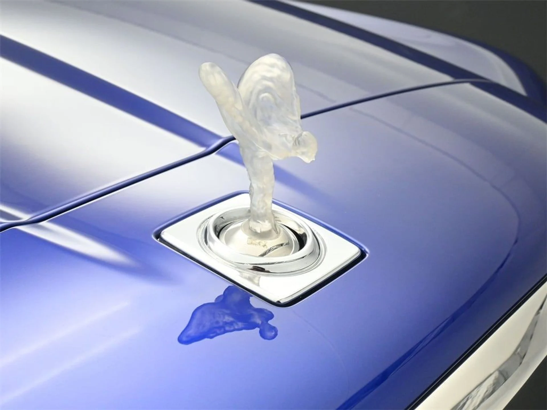 mph005_3232277412_5fefbd35854247159f829bc7ffd42845x_628e498839