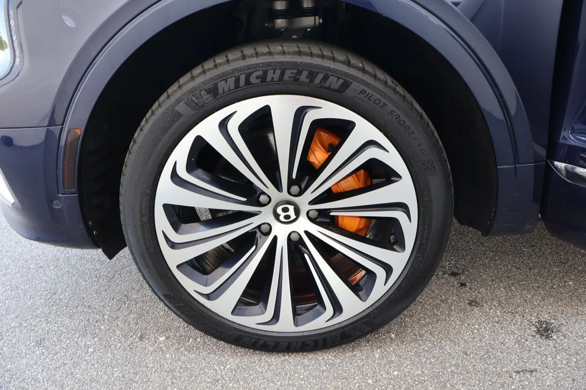 mph005_3264873488_6_67e3e50572