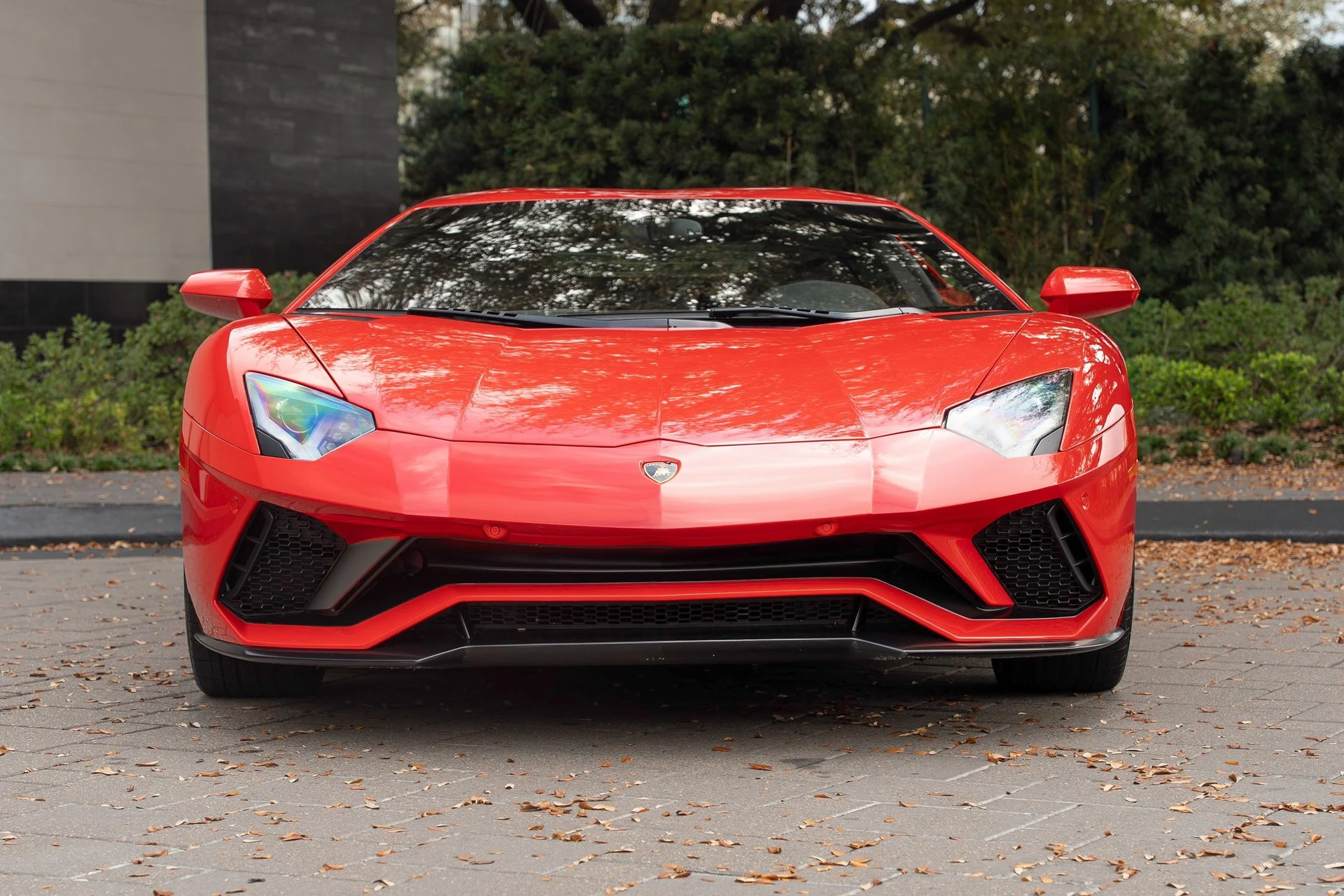 mph005_3301199867_image_6_8746a2e499