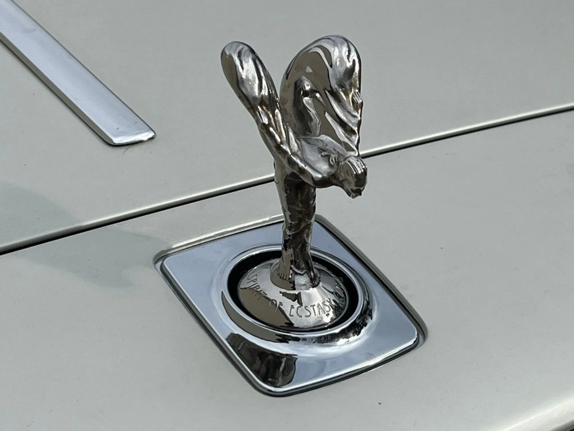 mph005_3350363926_f068a313a8ed402b9679a7090ebc8c8ex_02a7cf4450