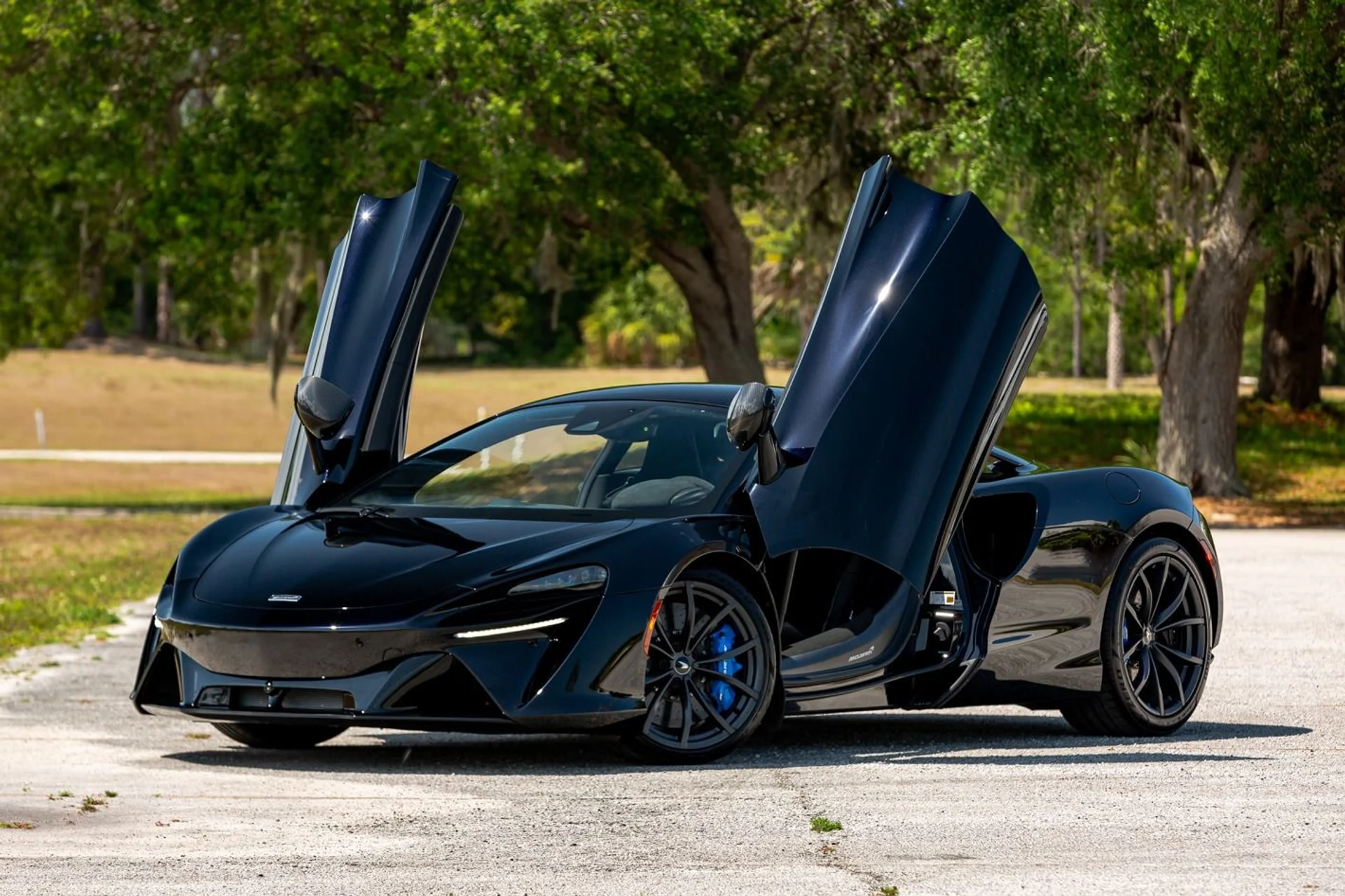 mph005_3393558361_396_p6_l_2eddb59c94