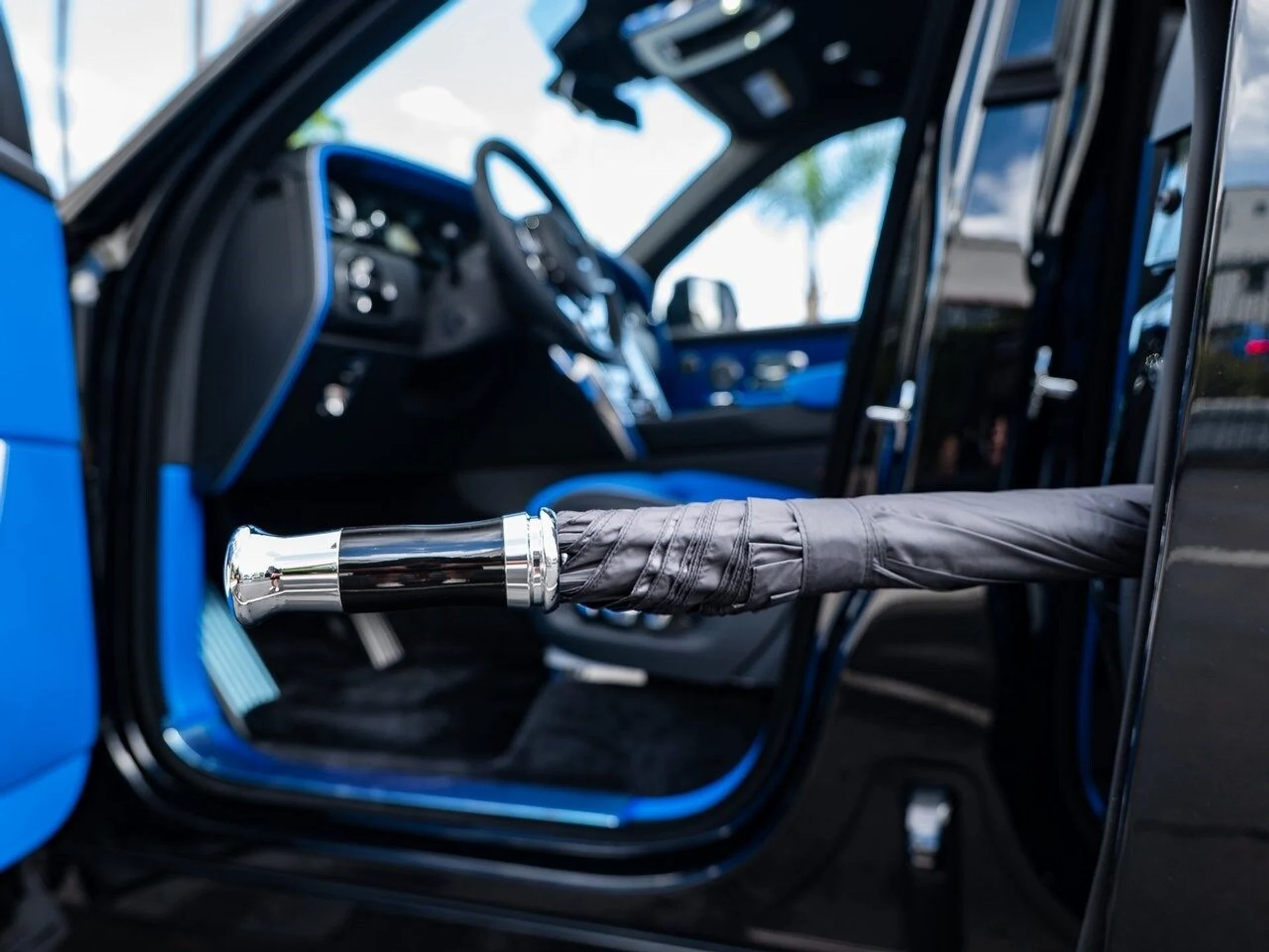 mph005_340015047_57bacd68fcf1fec44d6f7c818664d49ex_c531c69d0d