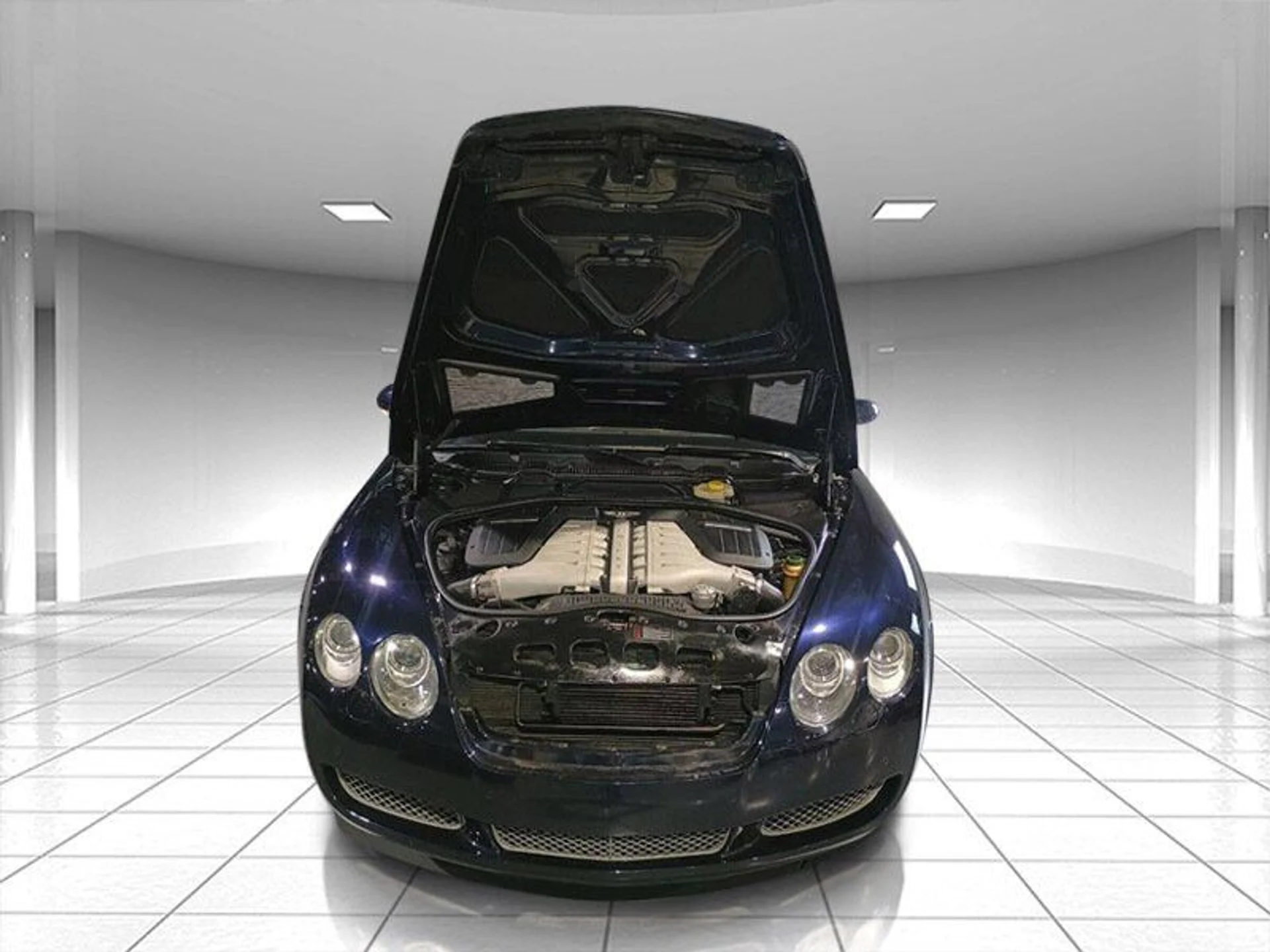 mph005_3411912445_f403af9e37_800_8322341e75