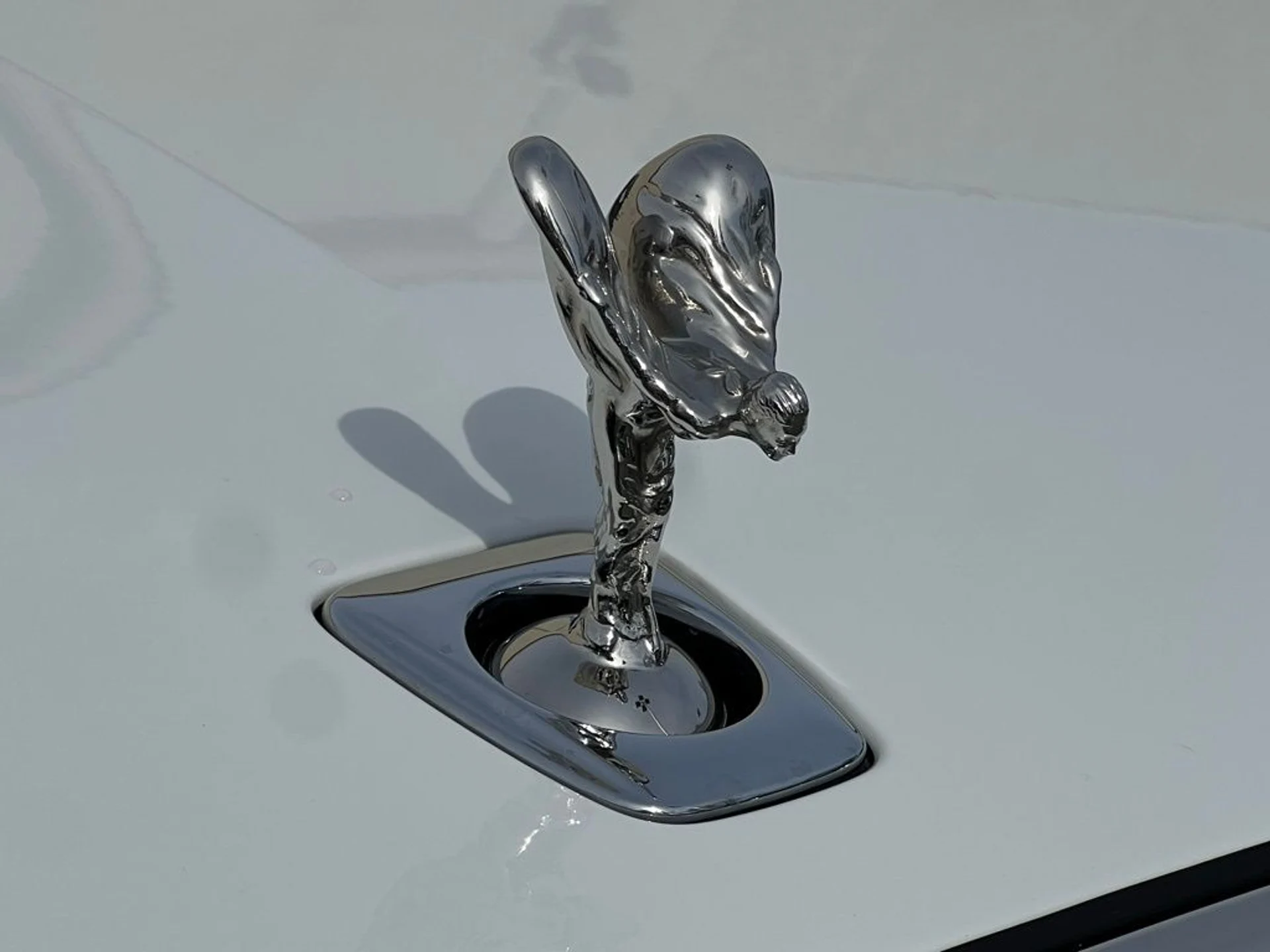 mph005_3420032576_291b665db065123cb9a4f852b4f8b657x_45fe95fb4b