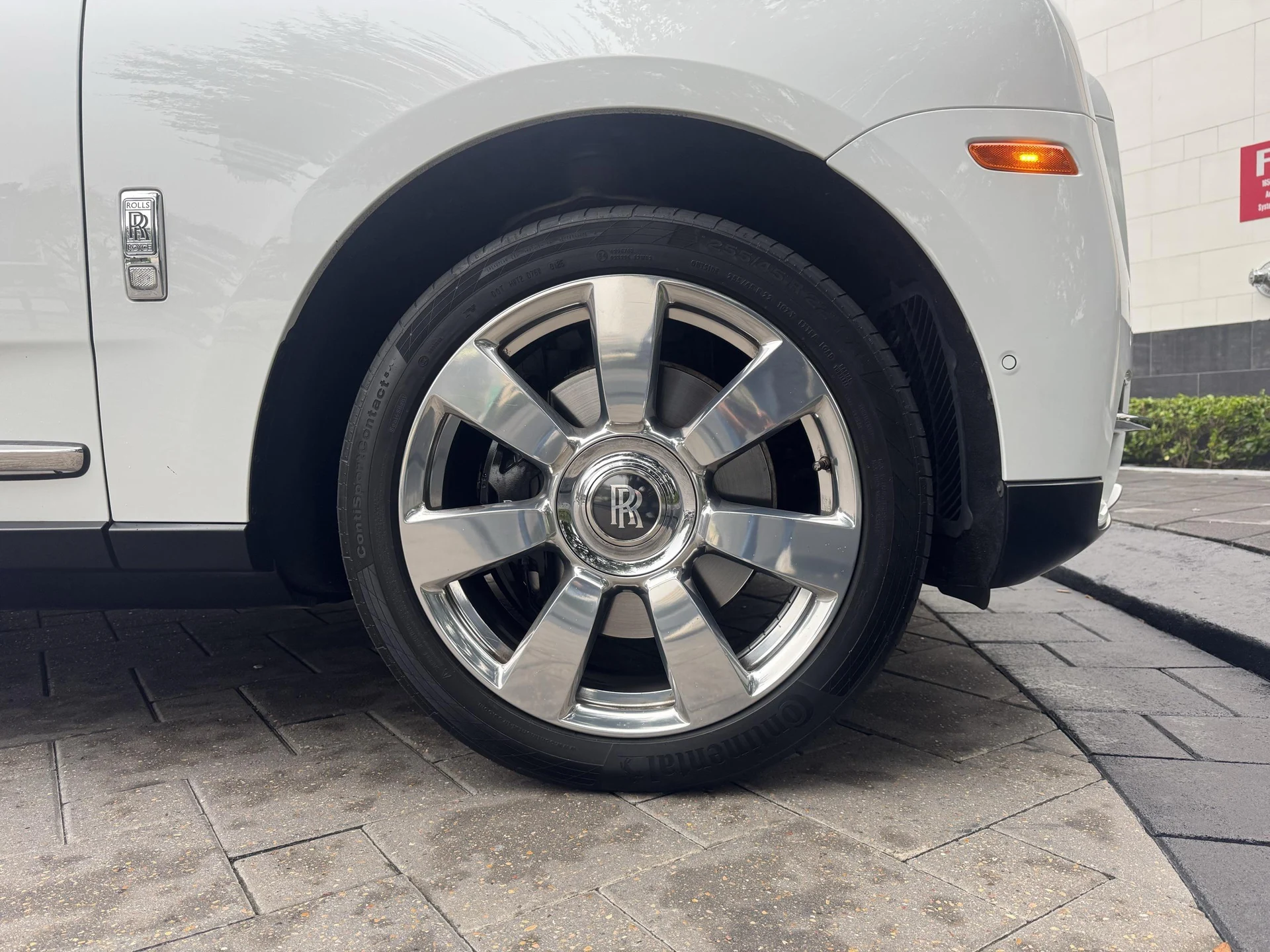 mph005_3487099800_489632217_69745bce601b5c3fd3f2a853_013b2c5f14