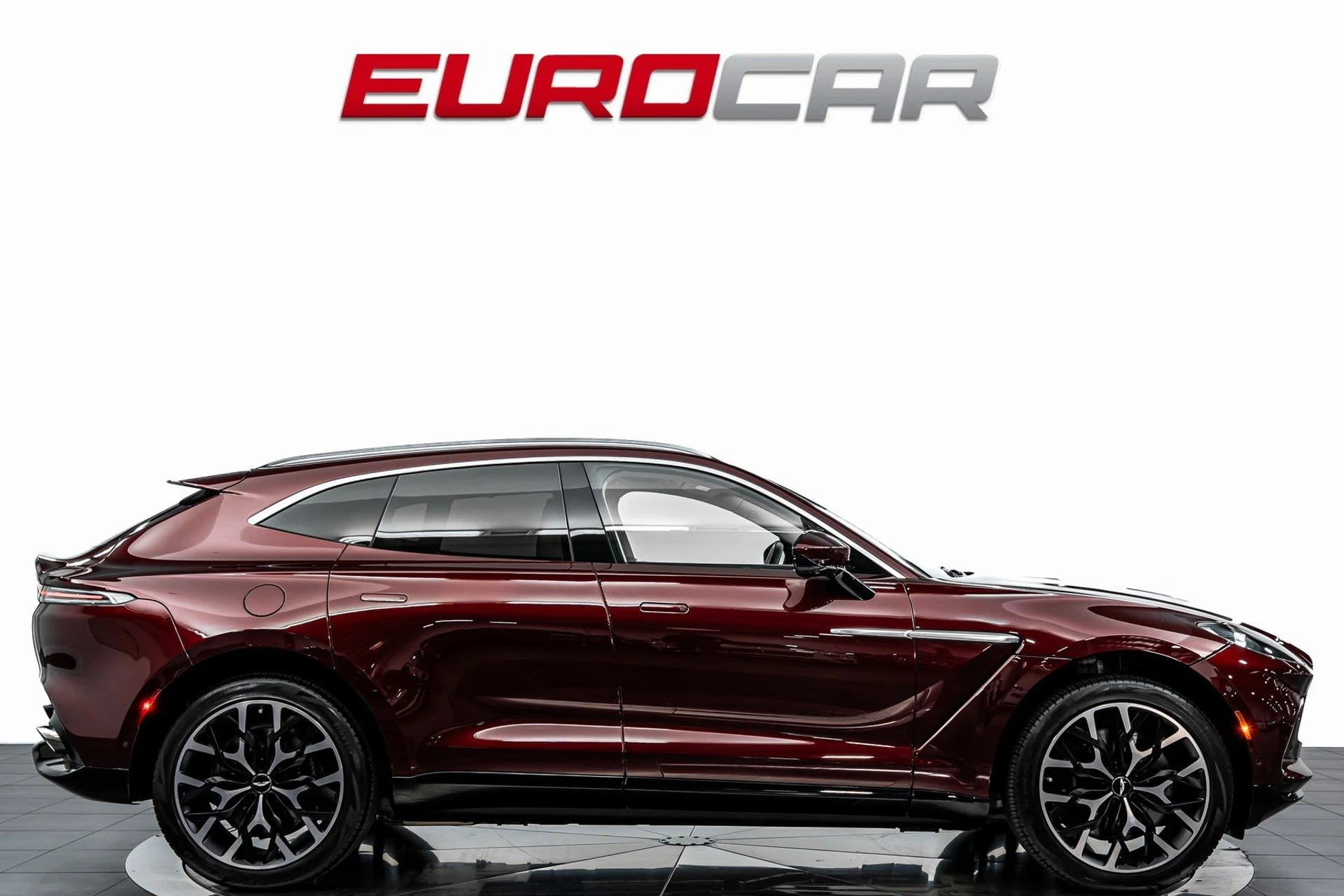 mph005_3544560033_image_6_138107abef