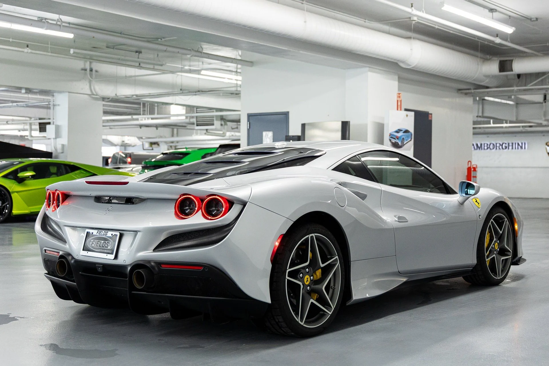 mph005_3551776300_a23dd056422ef79752c2ed4aa191d0b3x_041b2092de