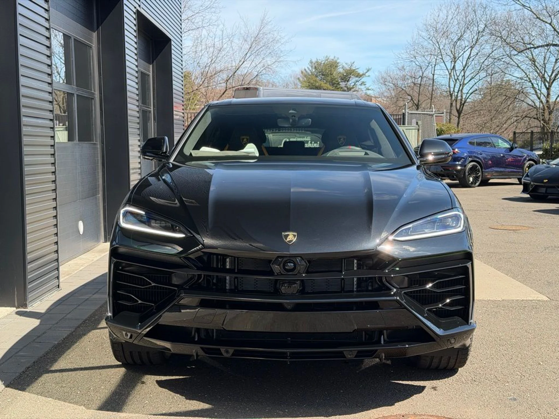 mph005_3556627247_a269c39de6da17e69b0fd3b9fbc1953ax_fbf28d8125