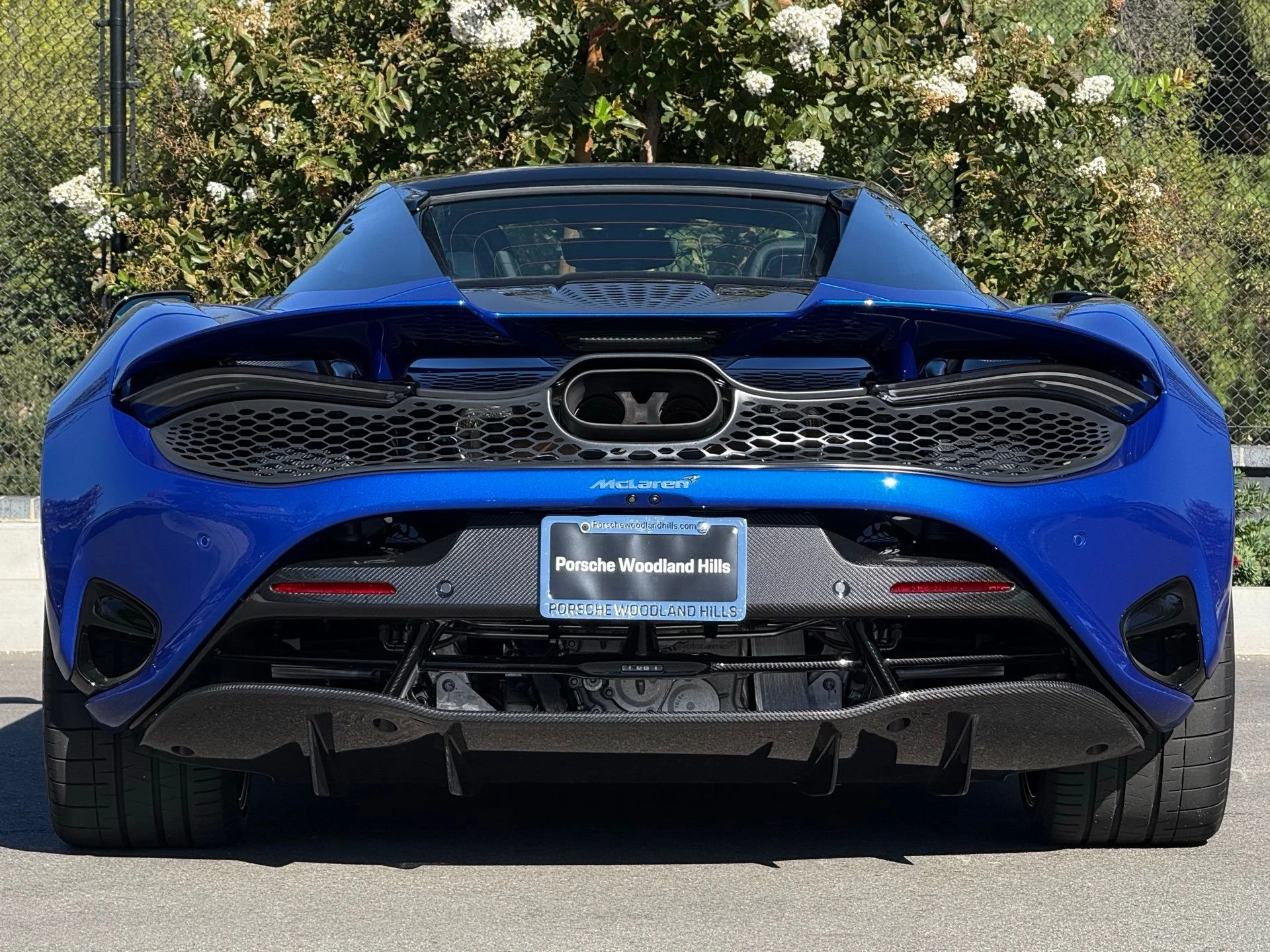 mph005_3560948502_4400494a86531f91065df6e2154a9bb9_93db3e1dcc