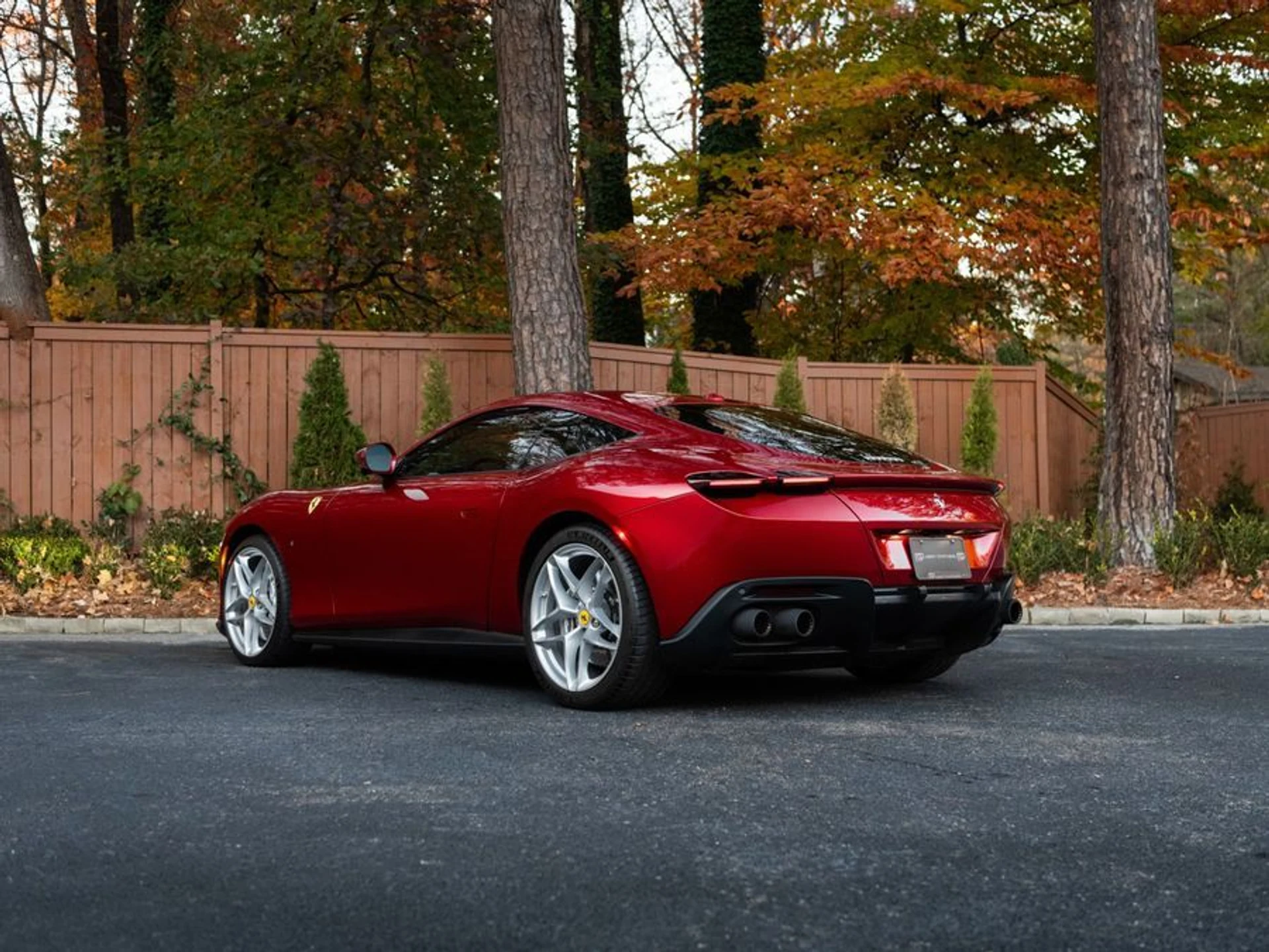 mph005_3578750376_393ecabd_7042_452a_a2b2_b329f6605f41_f688d51780