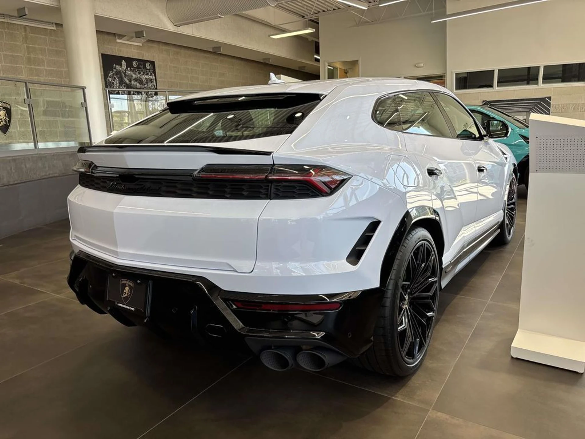 mph005_3611034350_c79fbfbea5e0de3ed936b93499346a5bx_caf4feeae2