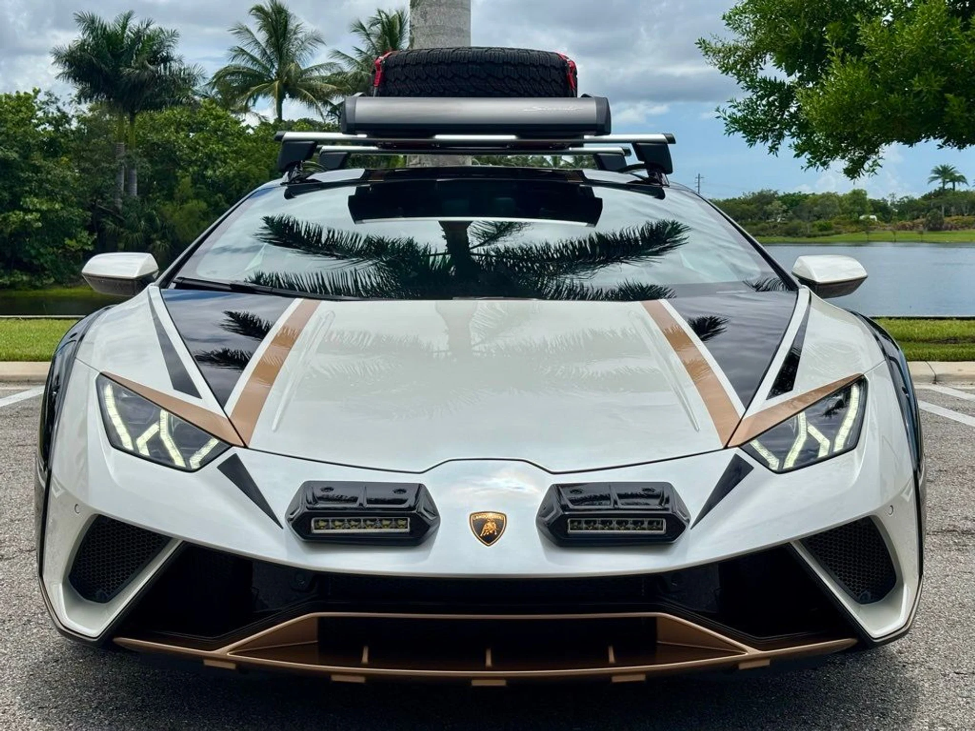 mph005_3632662375_0b01bed576a8932577811cf0cbc1d33d_cb833526f2