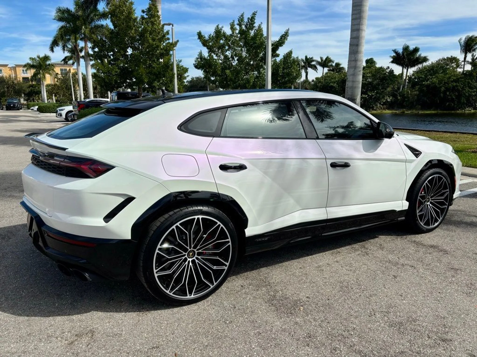 mph005_3650038535_e84fb3beb0c67c42ef1ca41880beae62_d80cc22e3d