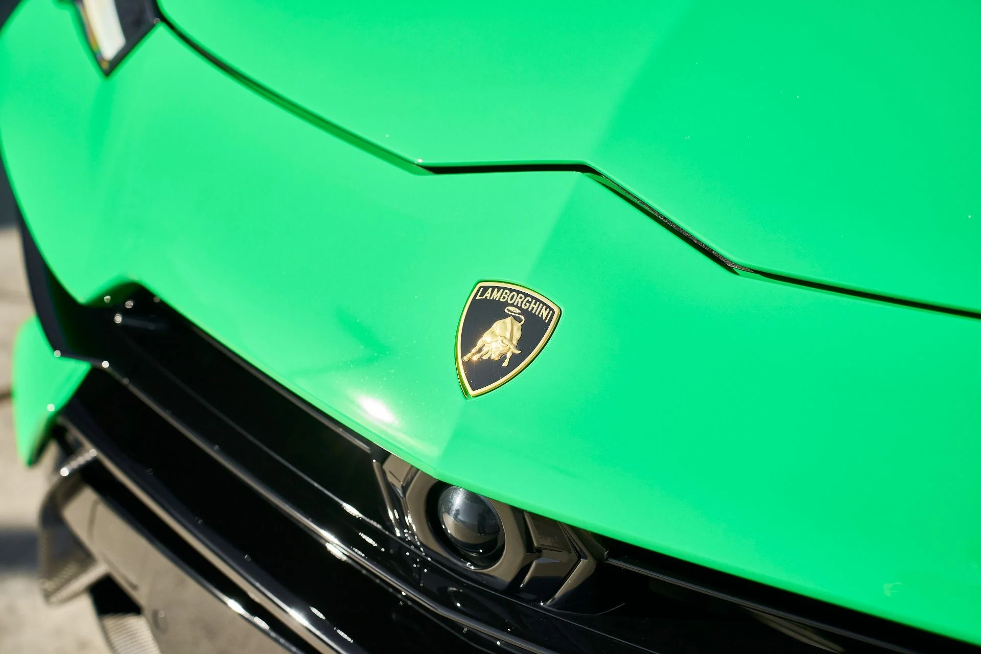 mph005_3661357334_Used_2024_Lamborghini_Urus_Performante_1764124735_69924689f2