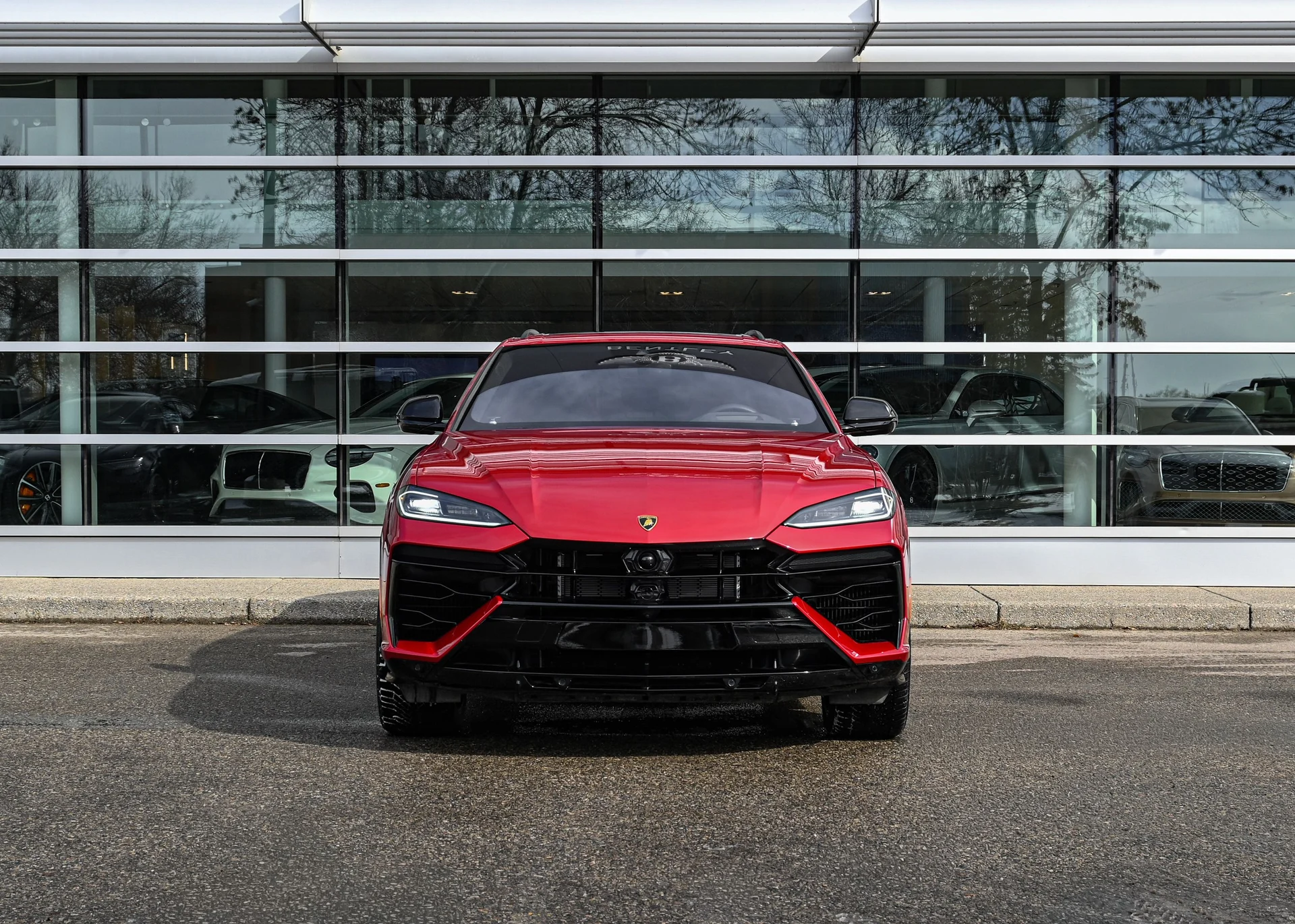 mph005_3688459132_871559fa_9b0c_4b31_a3f9_5f0e9bea4cc4_2bf59bc98e