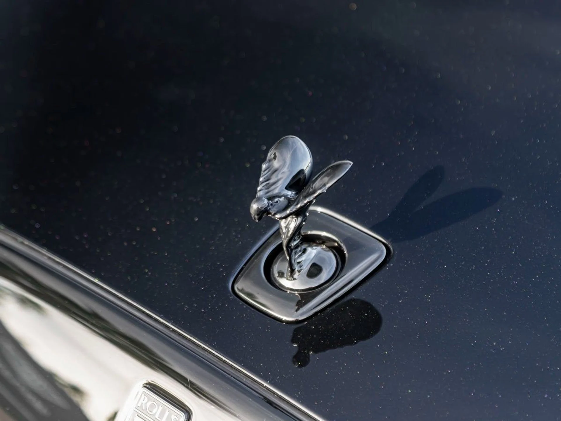 mph005_3705677845_6_cc43c16486