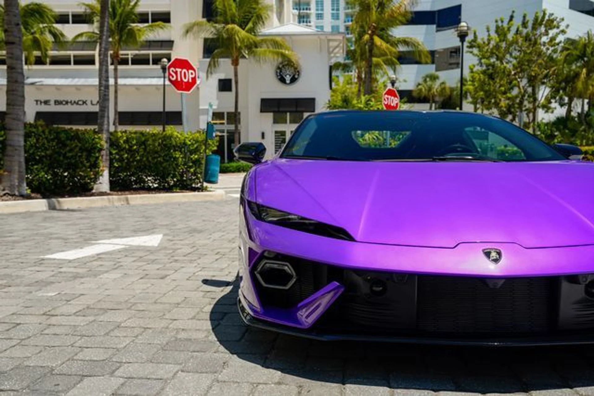 mph005_3706658800_23014494_6_0eeb40a60d