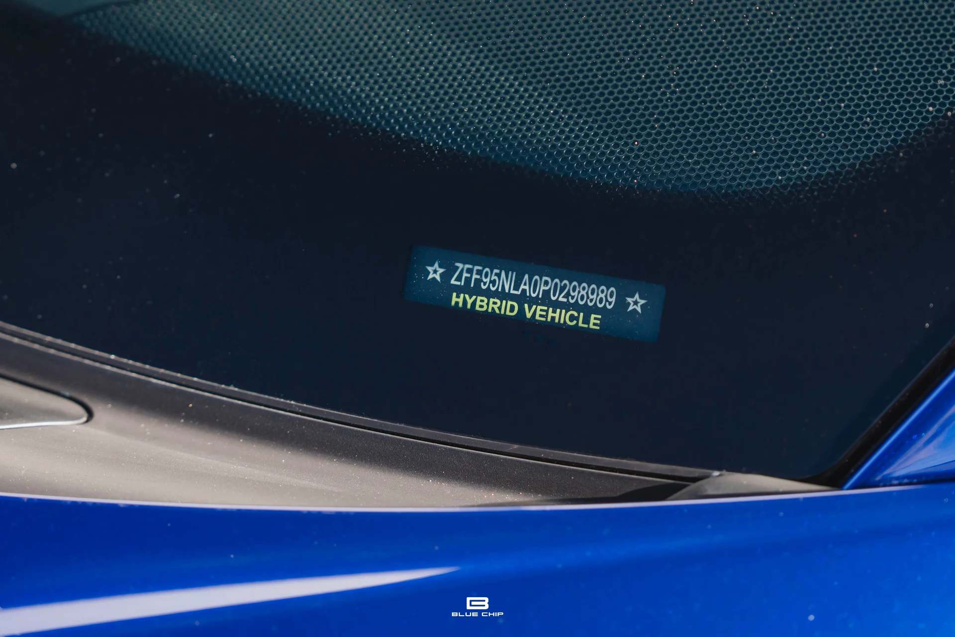 mph005_3715446065_6995fda5c9a1bfb45ab99ba6_A7403170_Edit_9fe3c882d8