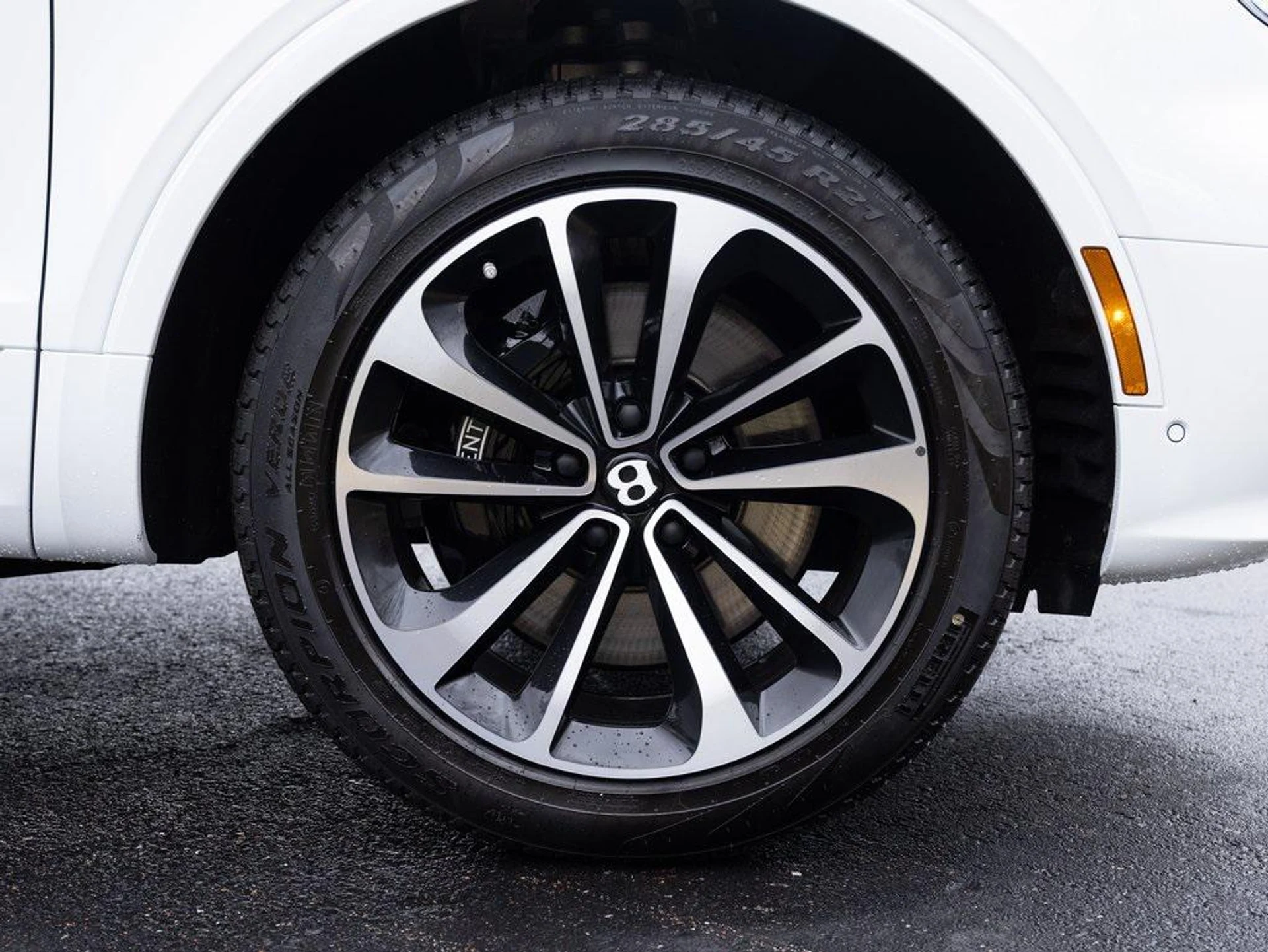 mph005_3718162693_403809831_67c233de6b5617b02de6362b_5608e4008c