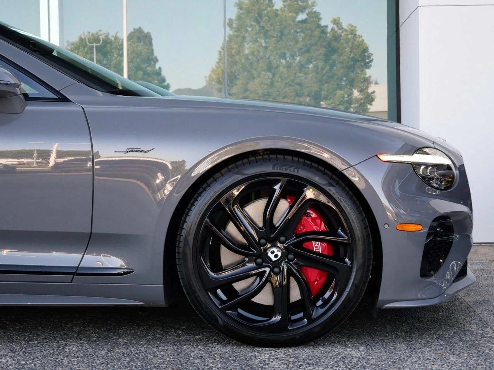 mph005_3778991606_2a8302a143951a806e86a46223593a5fx_6525908b67