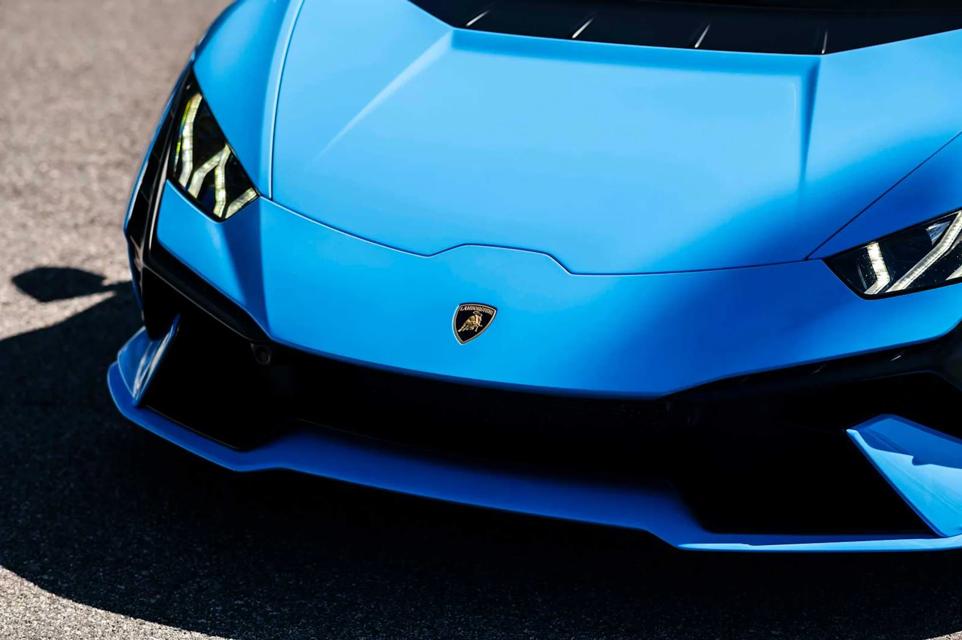 mph005_3830387647_4ca08e06ff0a771455a1dbedce3e0cd9x_7c92c10c6e