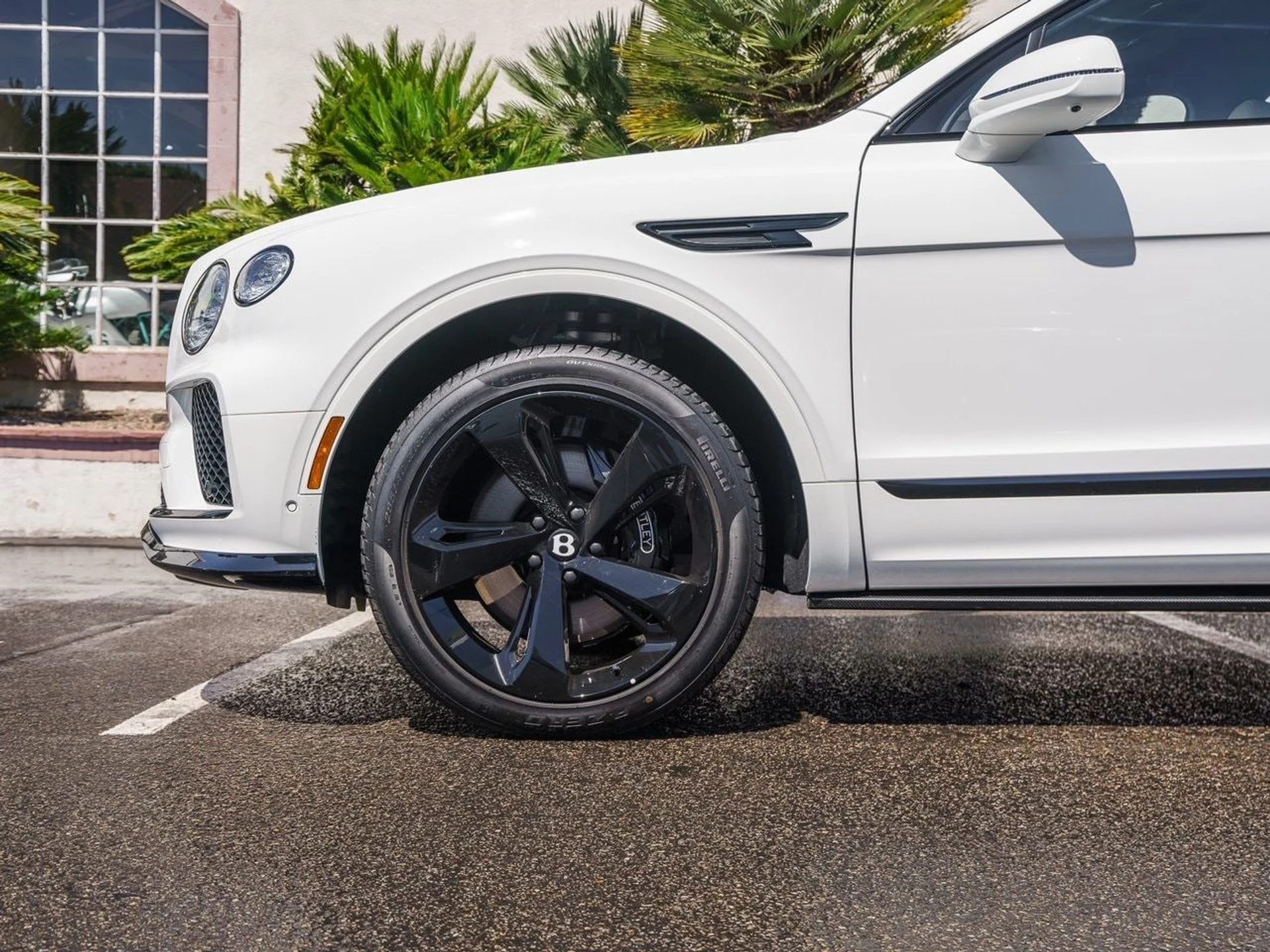 mph005_3859820728_e39abe098b899d234b05f29496383facx_75769b3ce9