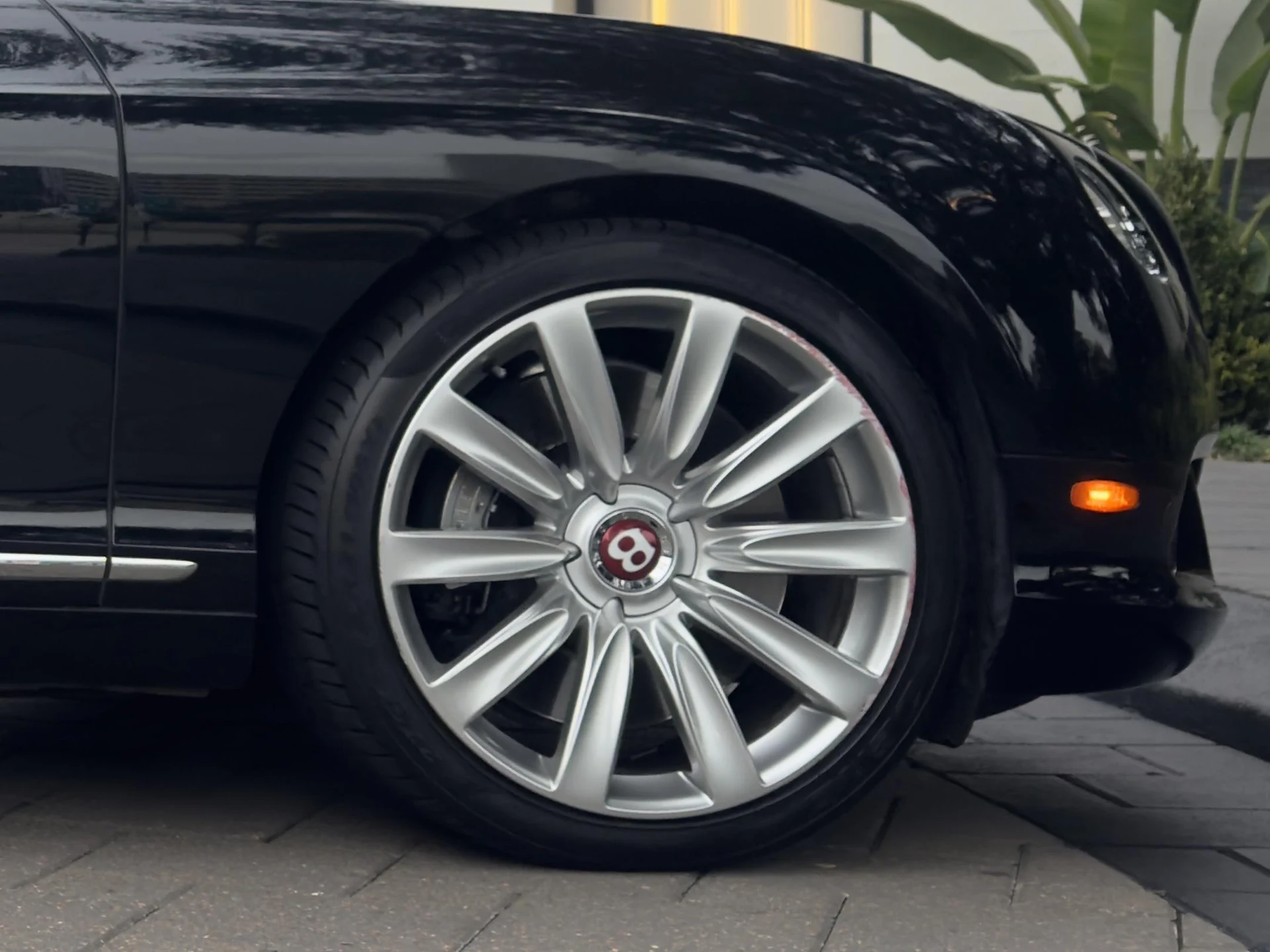 mph005_3865832740_480885682_69423fb207767676a212b01a_4609011b82