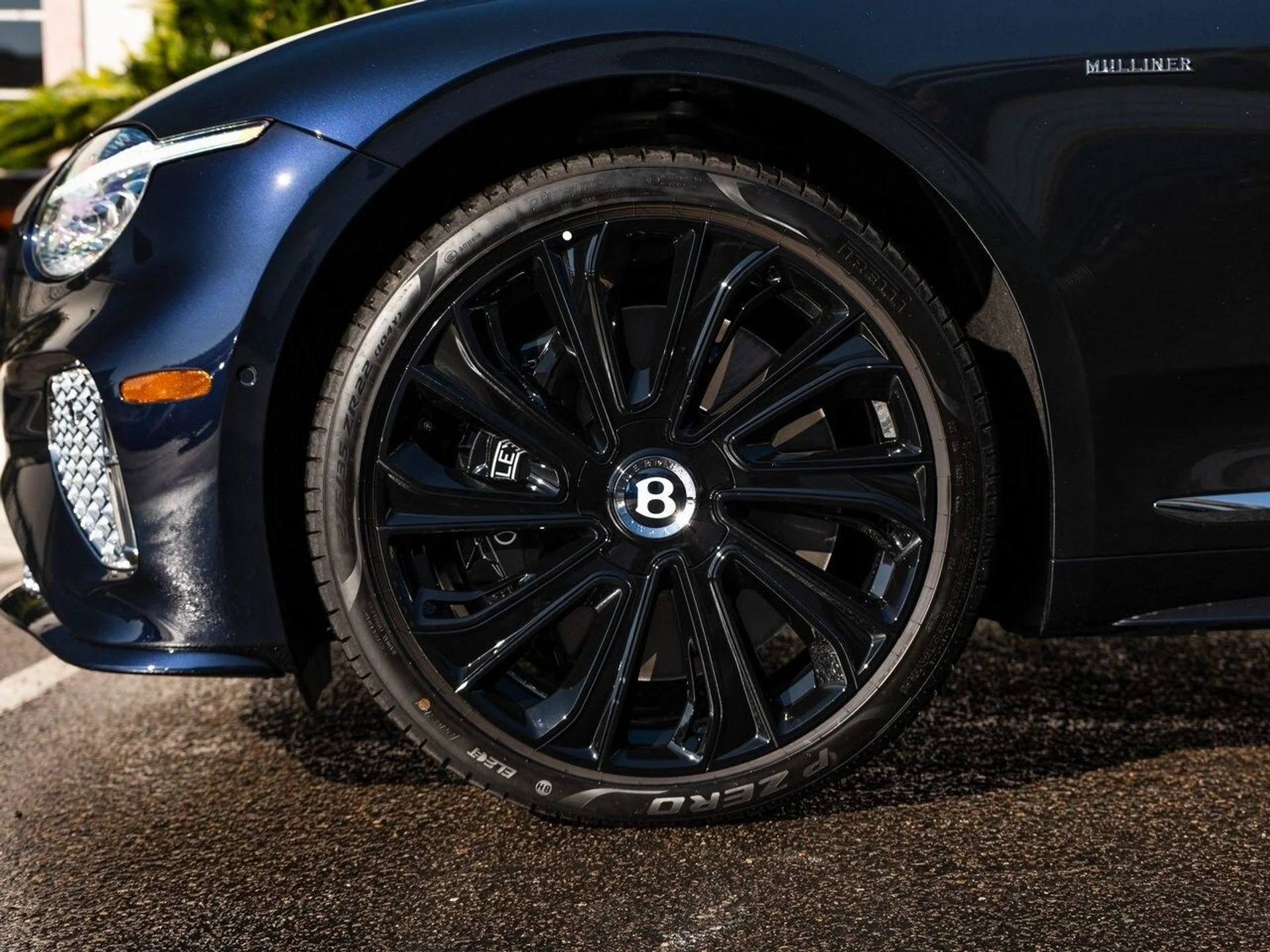 mph005_3892684868_5e1ef89d6695d17d30062e329e5ead6dx_dcefb528e4