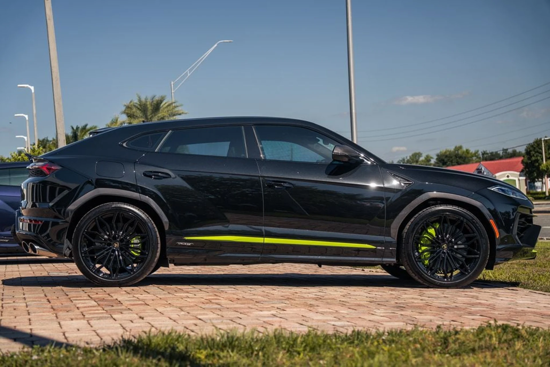 mph005_3909338941_d83736095e6727720d76e0b020e3fc4ex_571ba0c188