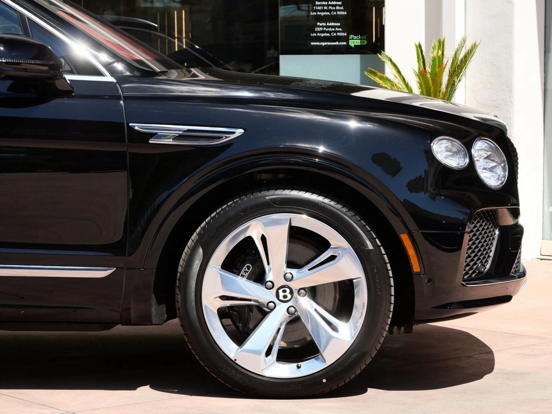 mph005_3932530492_862145789407aabf6497ac4a97731045x_78b6866a78