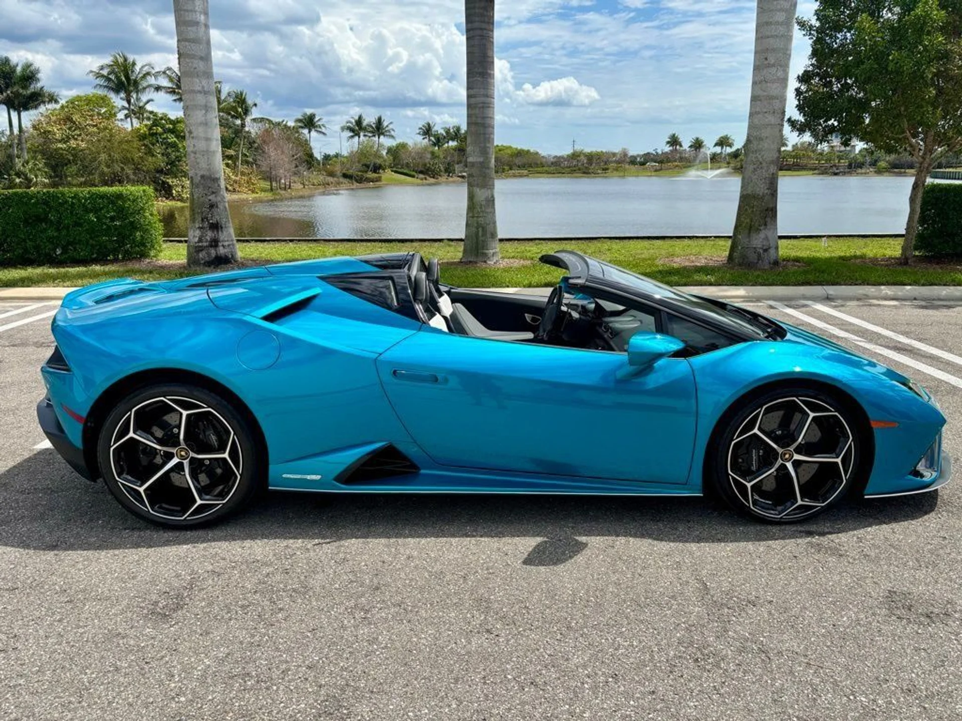 mph005_3934805863_e78f7979a9fe6a185f9f832a46e21056_7d2ebc3833