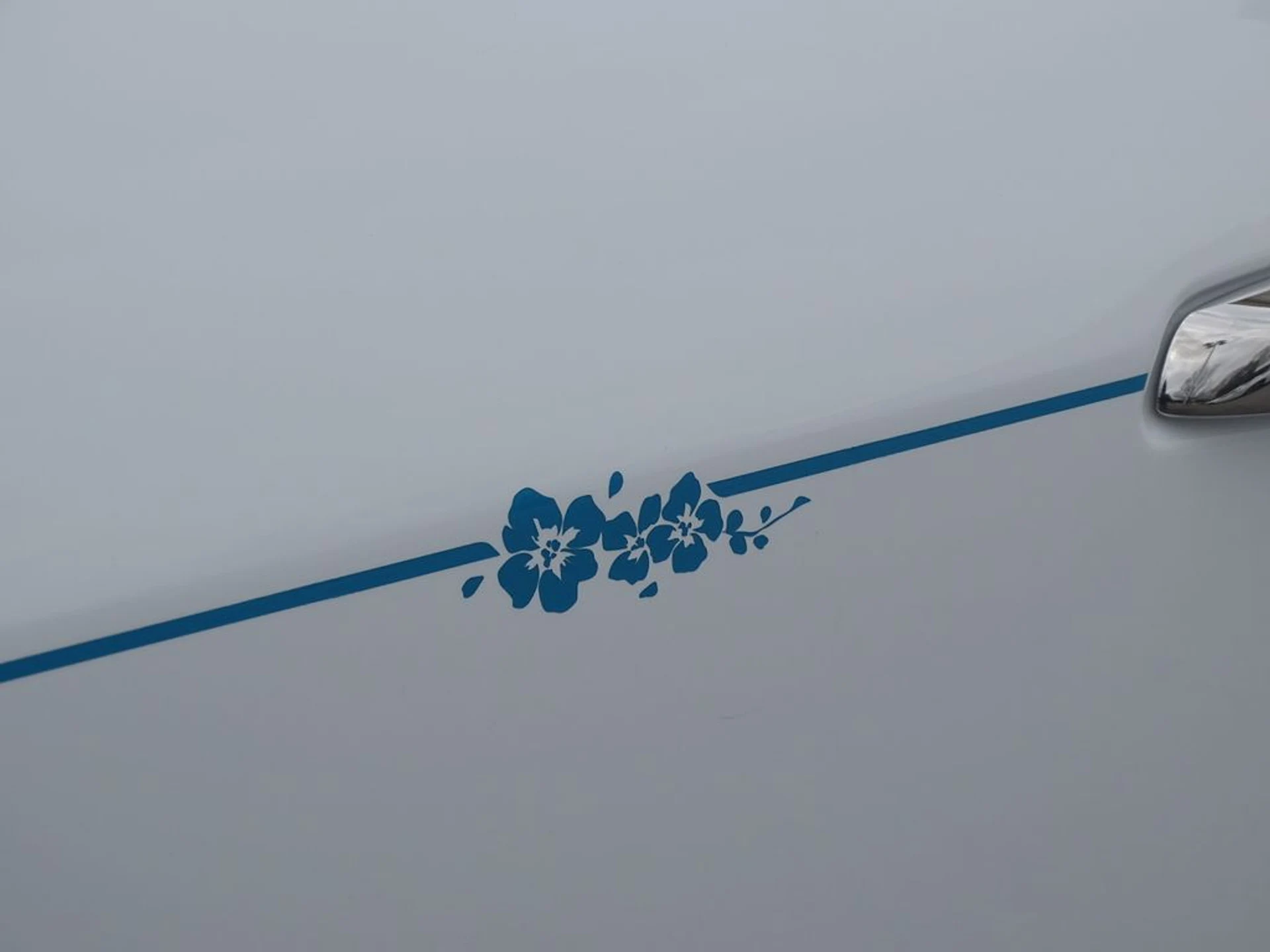 mph005_3992012848_131cc761ce3b7a5680530c88d2a170f4x_b1ba3db86d