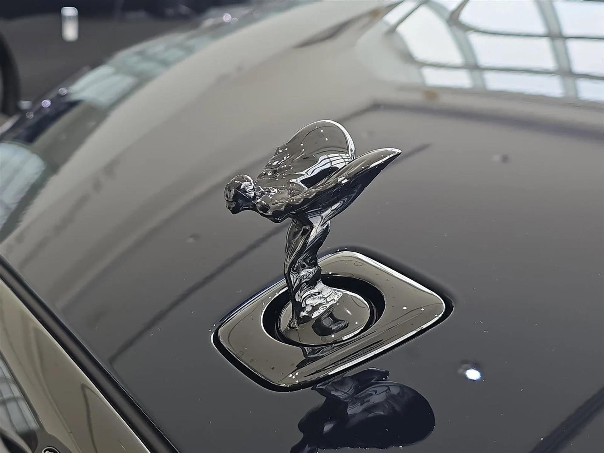 mph005_4035695256_8763b334e1777522cbaf43b6475221b6x_ba329e9b36