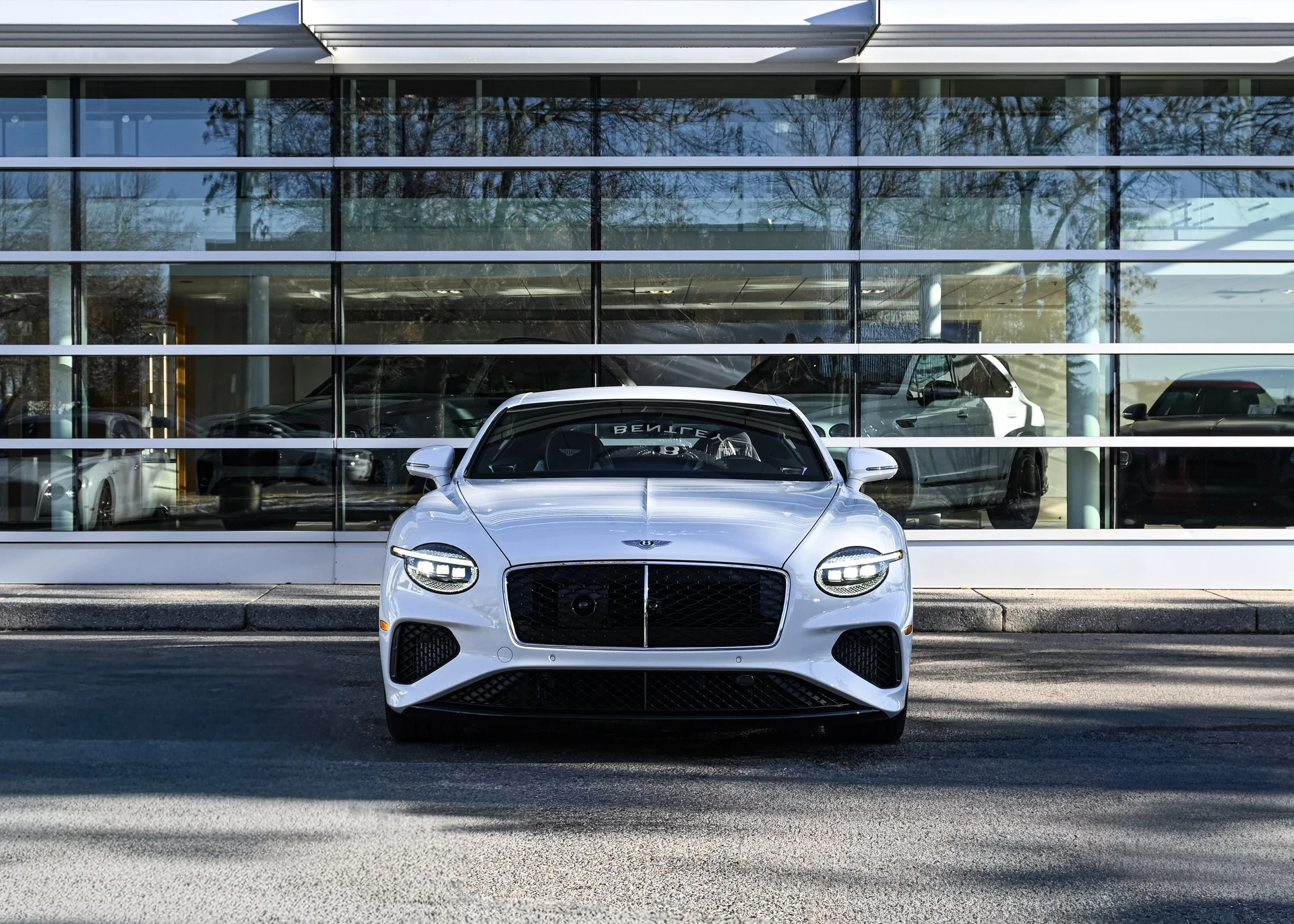 mph005_4040154987_5af48daa_710b_4807_8851_7dc8dc0cd3cc_6037cae534