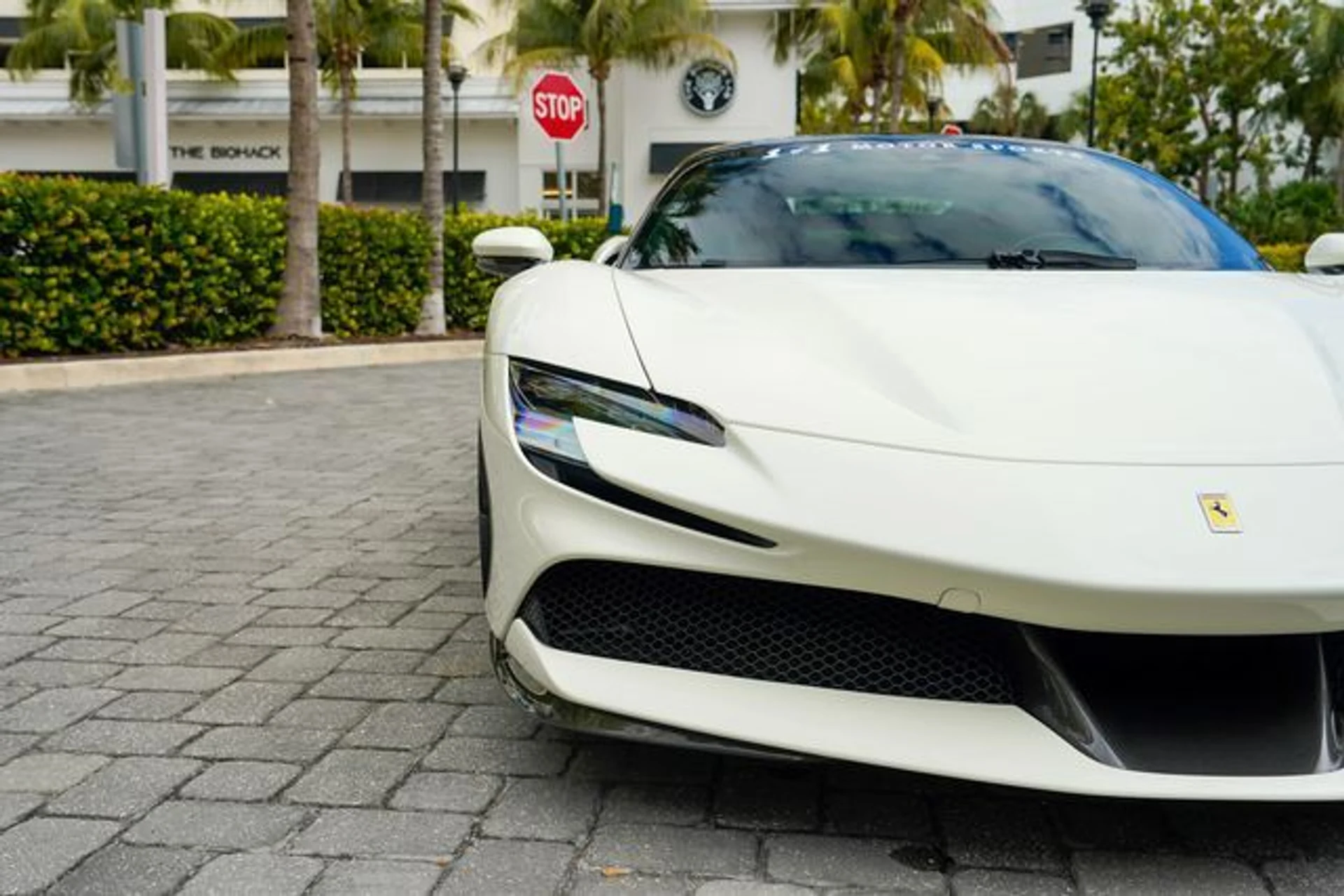 mph005_4041582801_22977808_6_5c0049c0de