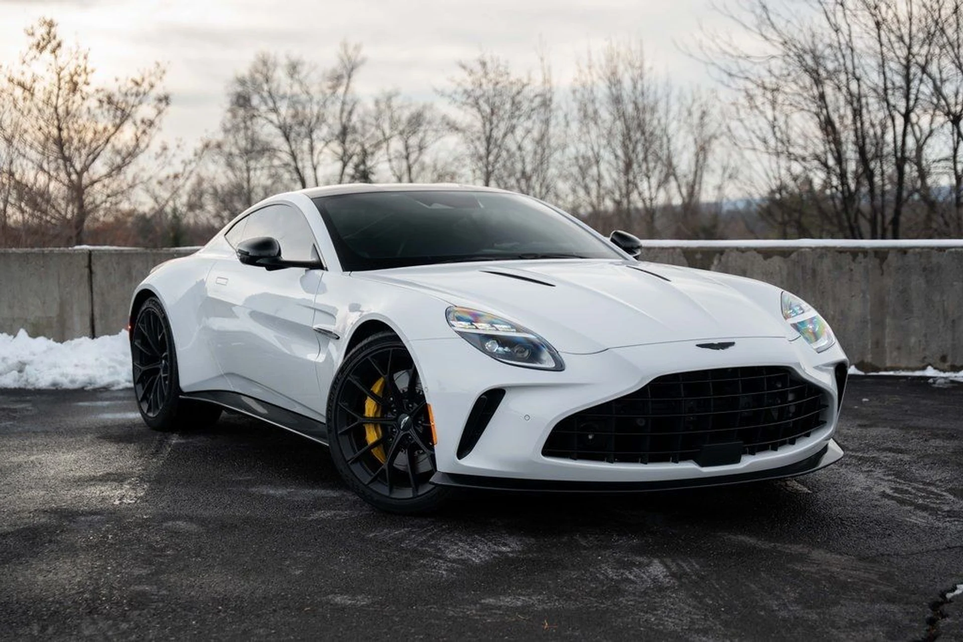 mph005_4063296598_image_7_9bb1360d50