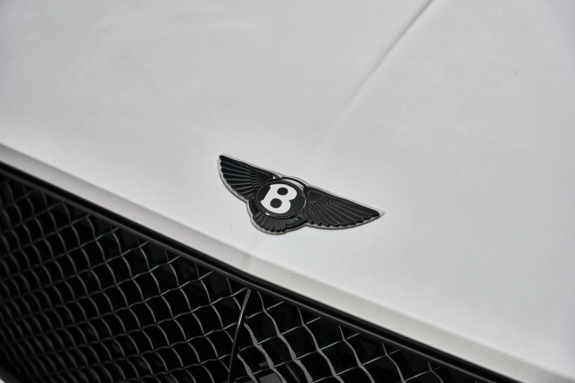 mph005_4063490873_Used_2024_Bentley_Continental_GT_Speed_1786670879_daf7a0c7d3