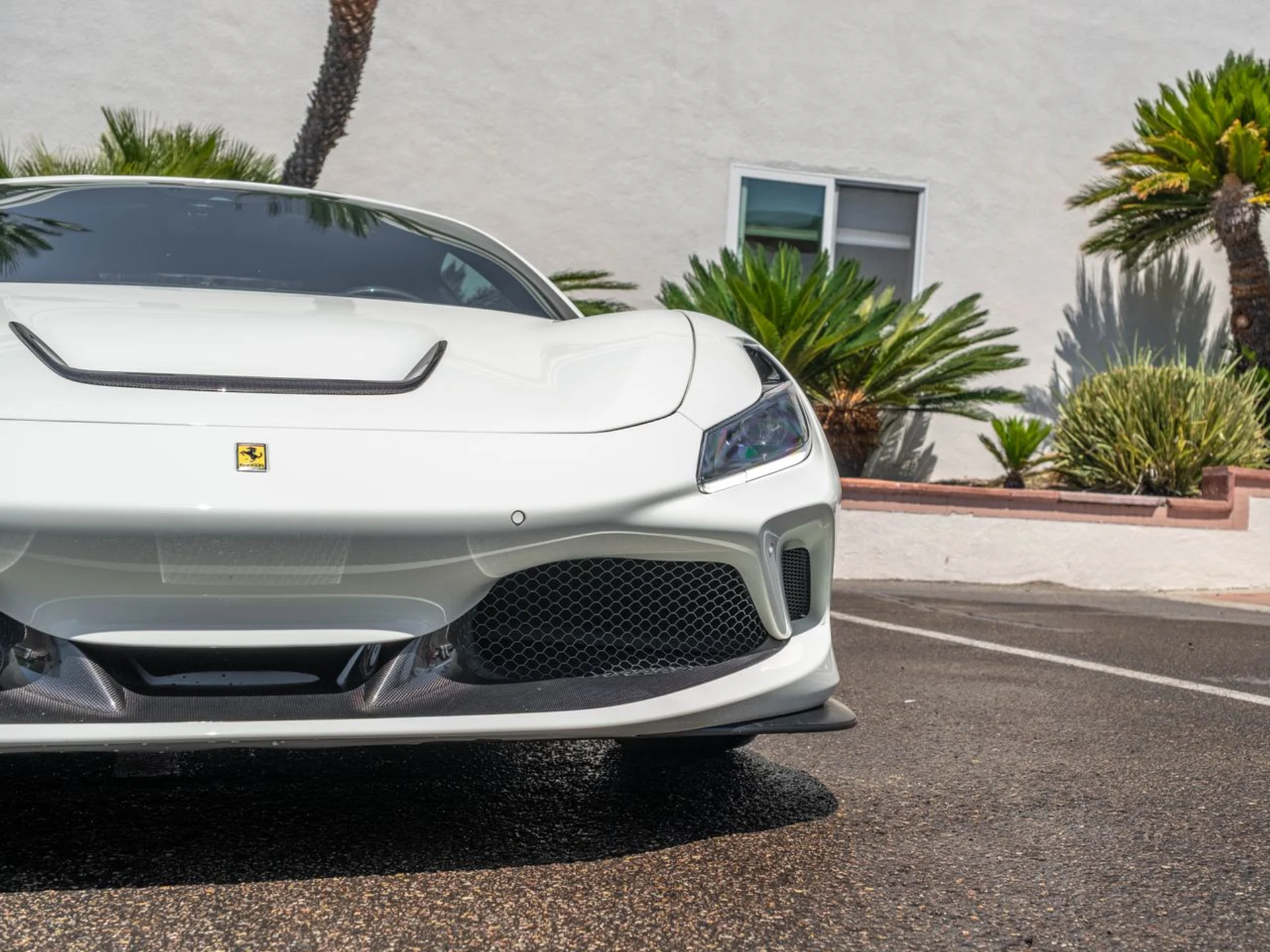 mph005_4097226894_e62d0e7943a43762dbfa5e42bedb649ex_dd32282104