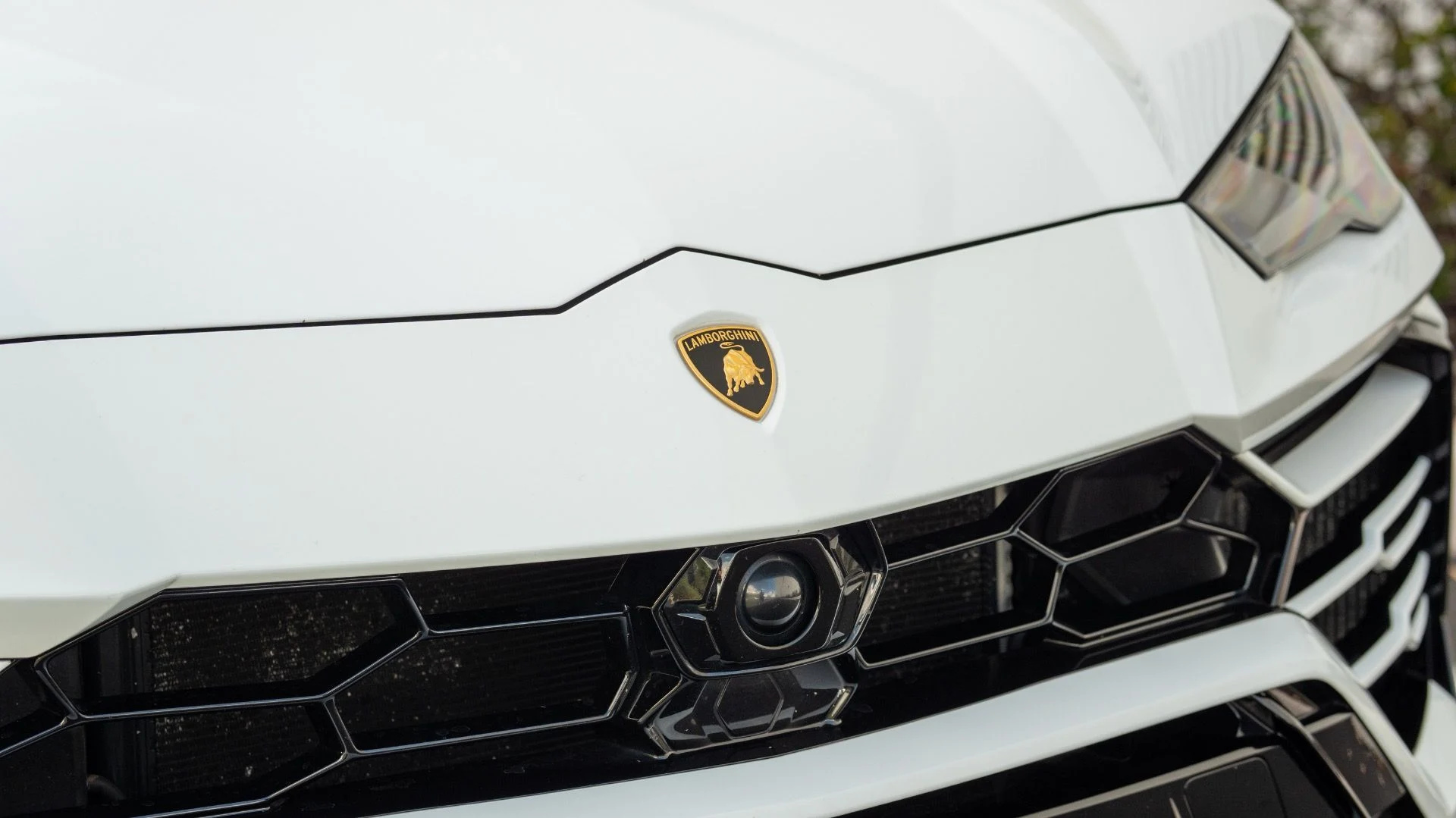 mph005_4098344824_Used_2021_Lamborghini_Urus_1754681875_ffda62cff0