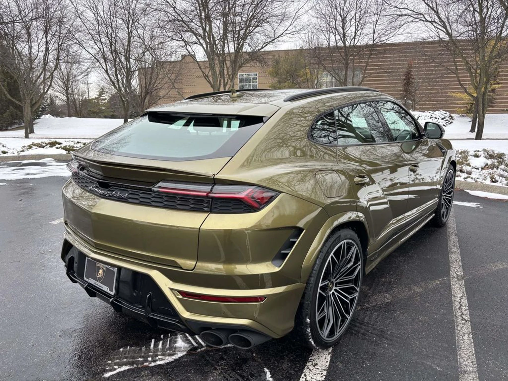 mph005_4099472322_d1f893ae153a26f9063d7cdd05fab2ecx_fabcc77ccd