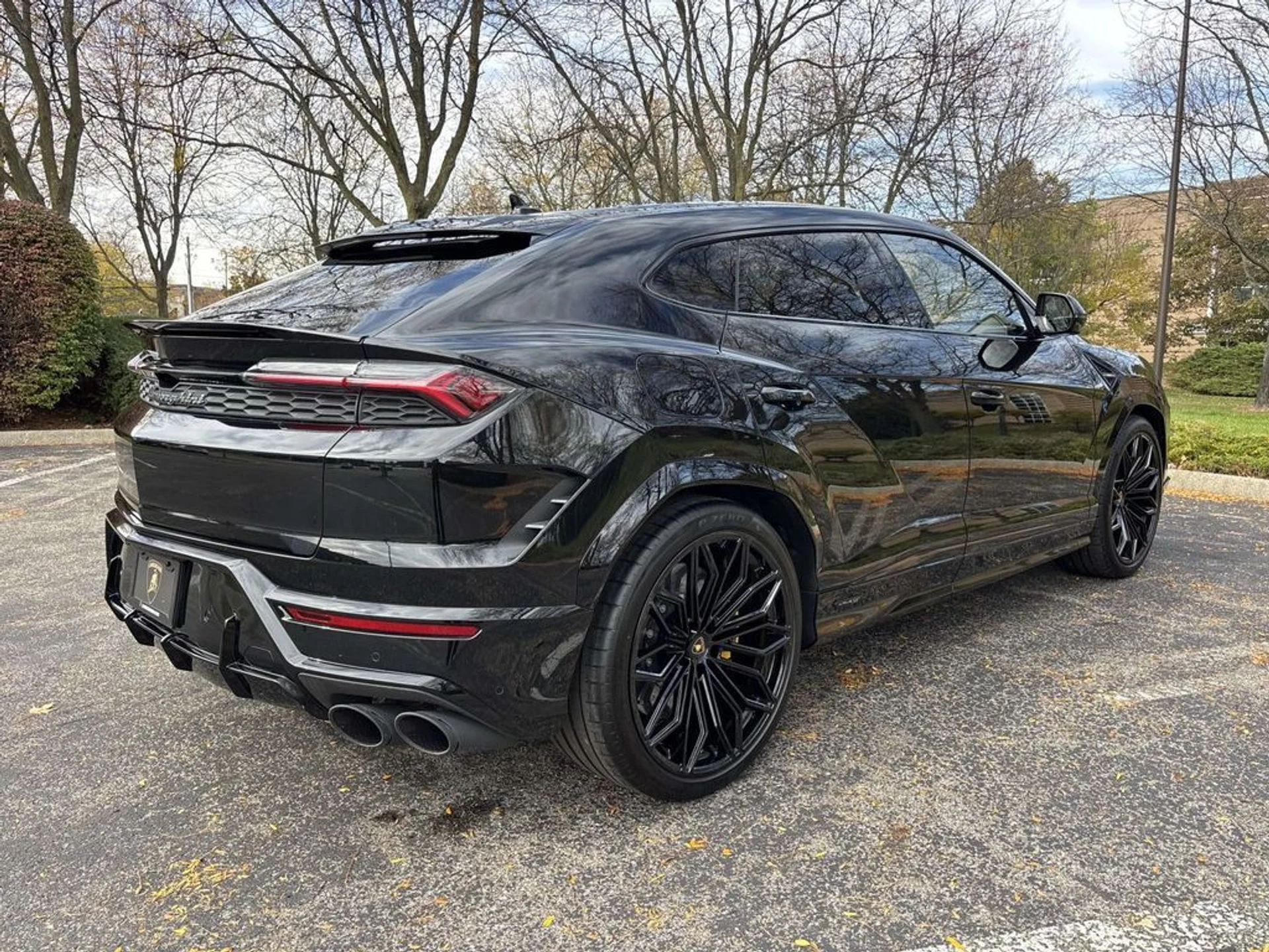 mph005_4180110752_0373f29d81dfd8109d76cf2b8c21659dx_d6da810204