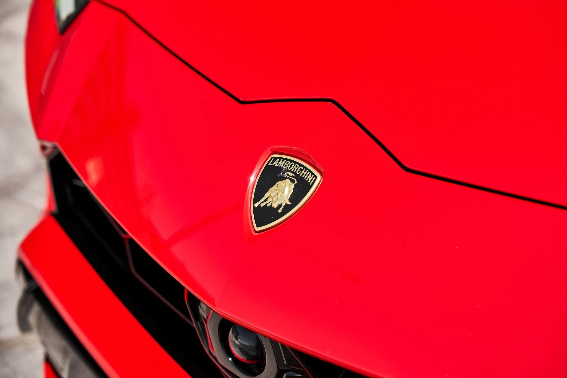 mph005_4188505895_Used_2019_Lamborghini_Urus_Base_1782947924_ce8a7358d8