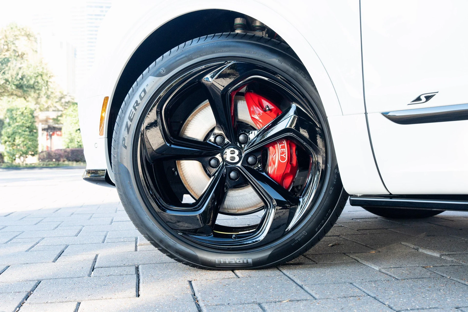 mph005_4209006881_389622357_677365122b7a94b33fd419d0_678e77b5dc