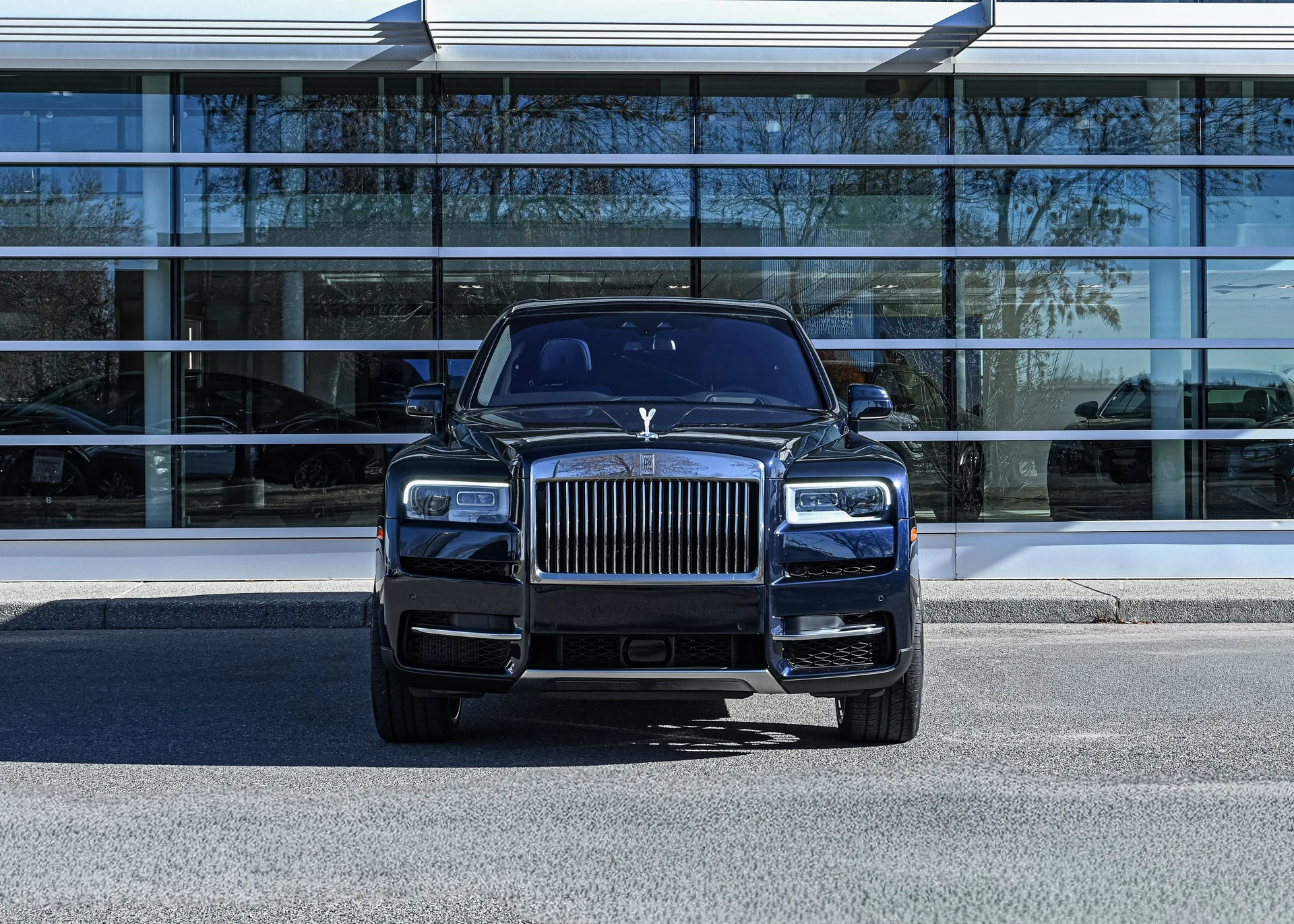 mph005_421409301_5da96708_cdd4_4df8_b16f_cac208e94c2d_48f11fc74c