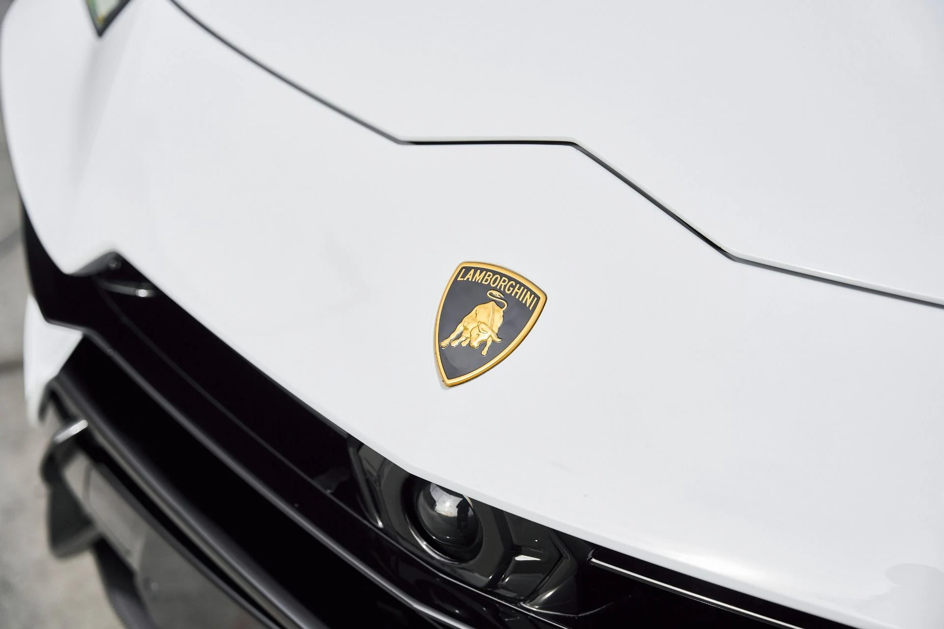 mph005_4289092142_Used_2024_Lamborghini_Urus_Performante_1768001091_3b08501e0d