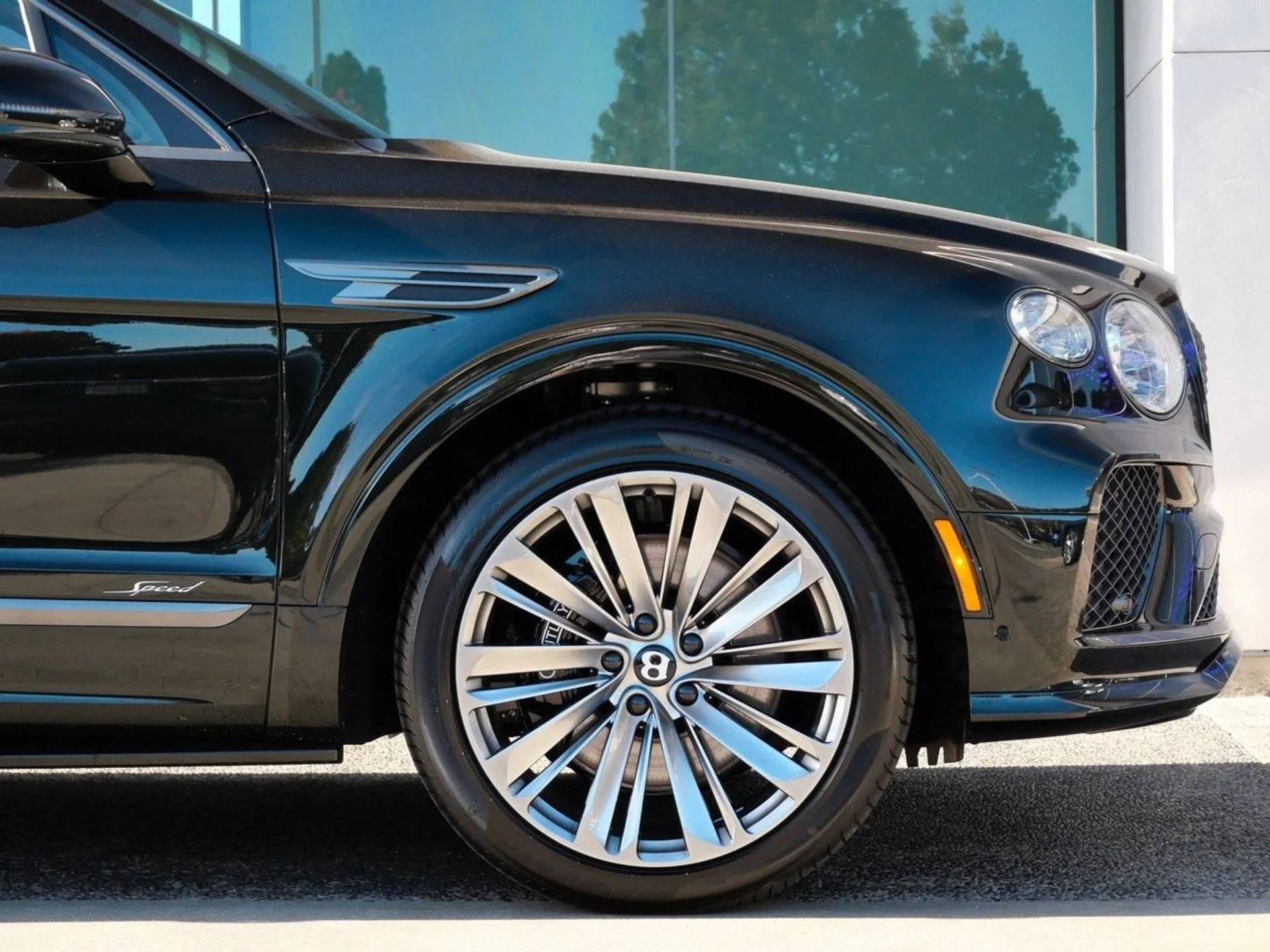 mph005_474280091_e5a84525d4b2dd9ec19564371a523588x_e6a629d096